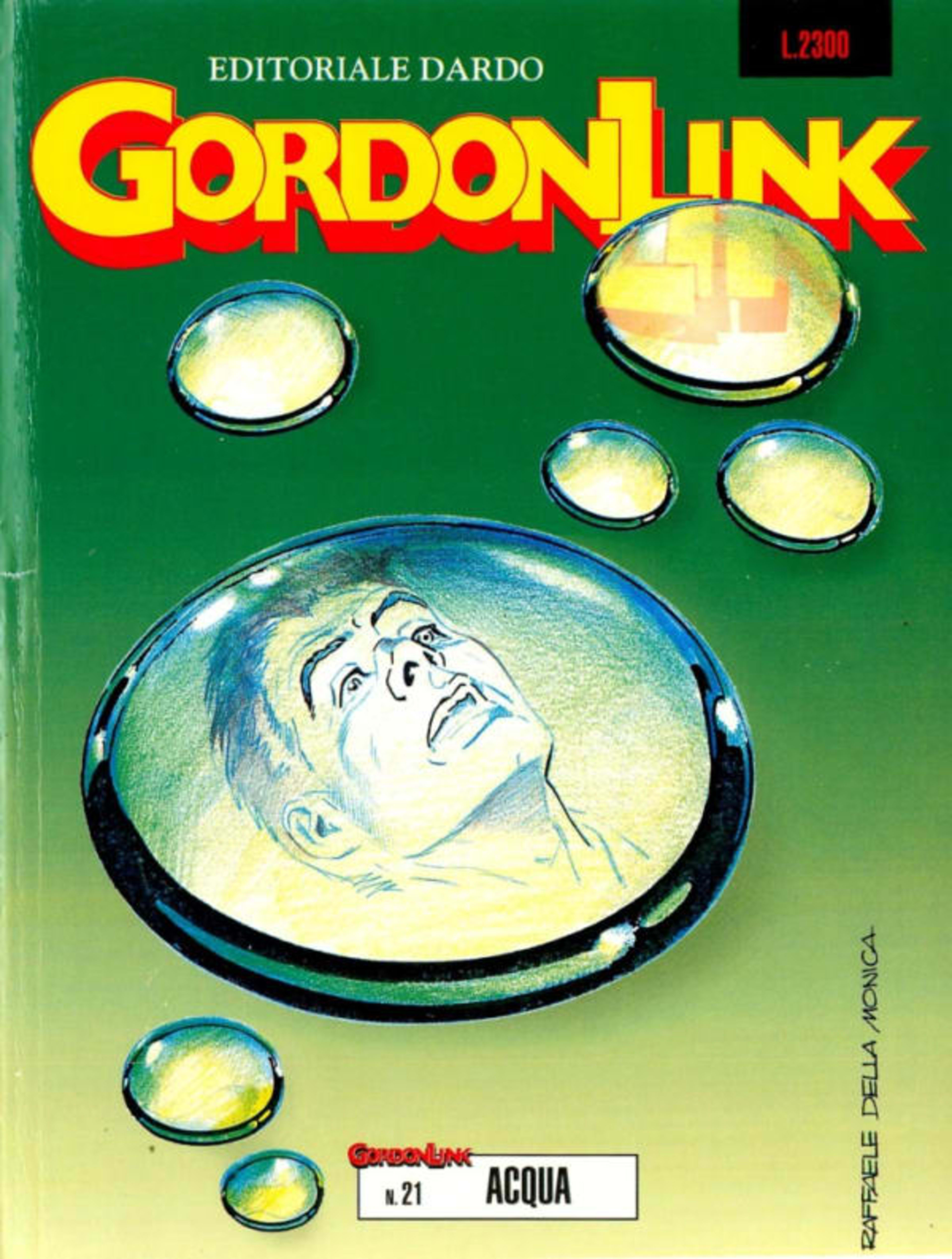 Gordon Link 21