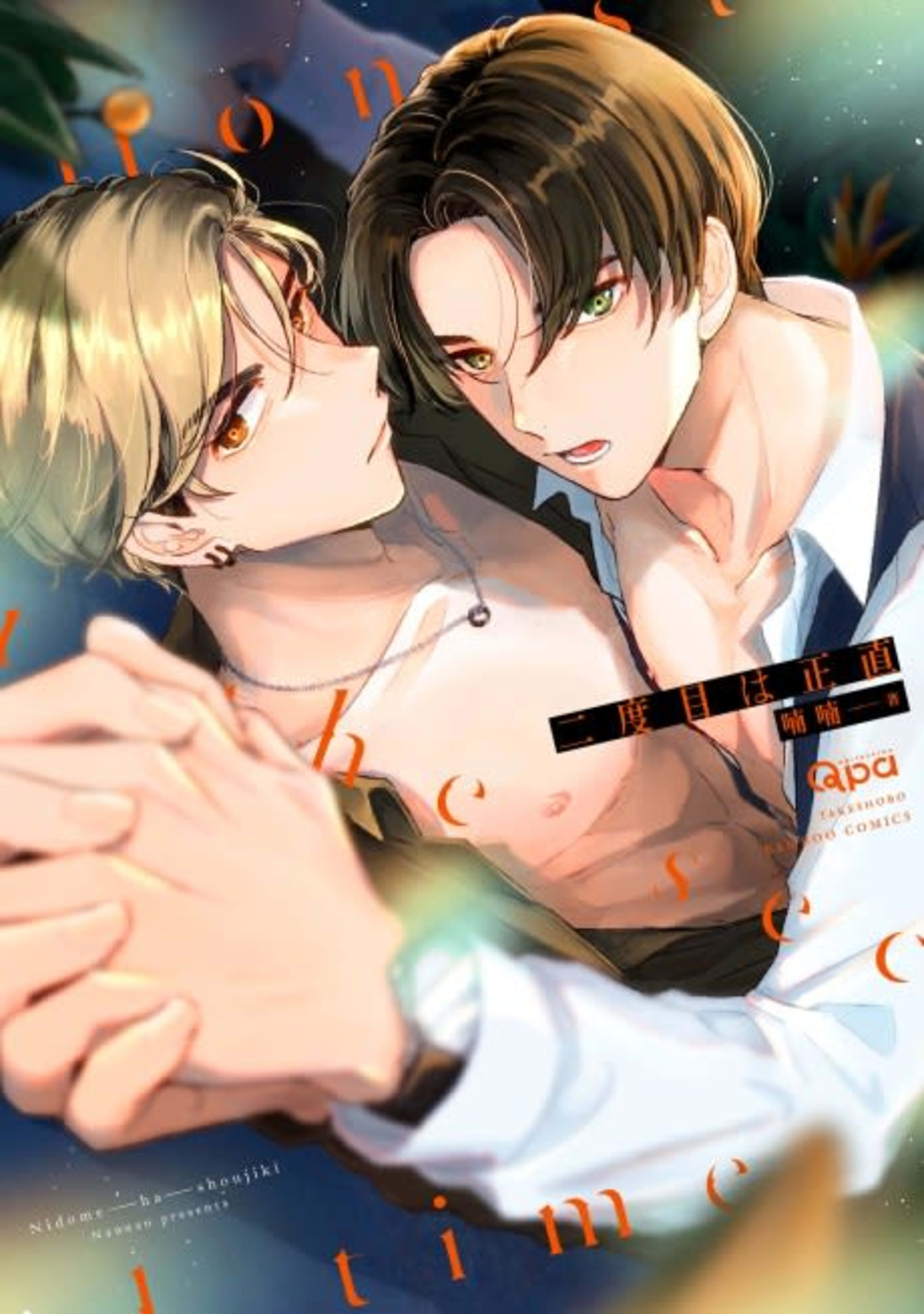 Second Time's the Charm cover — © MangaPlaza