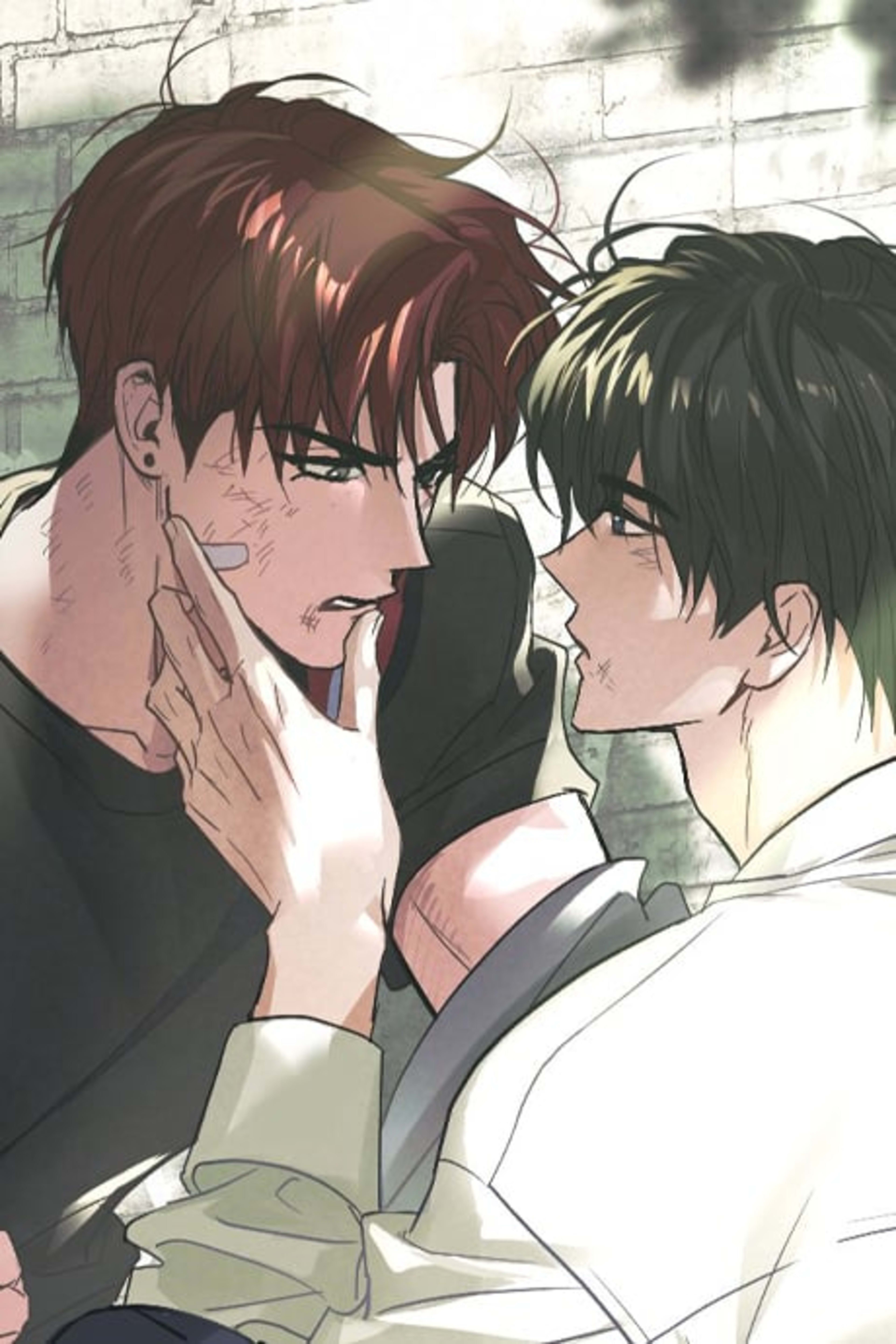 Two Tigers, Too Close cover — © Lezhin Comics