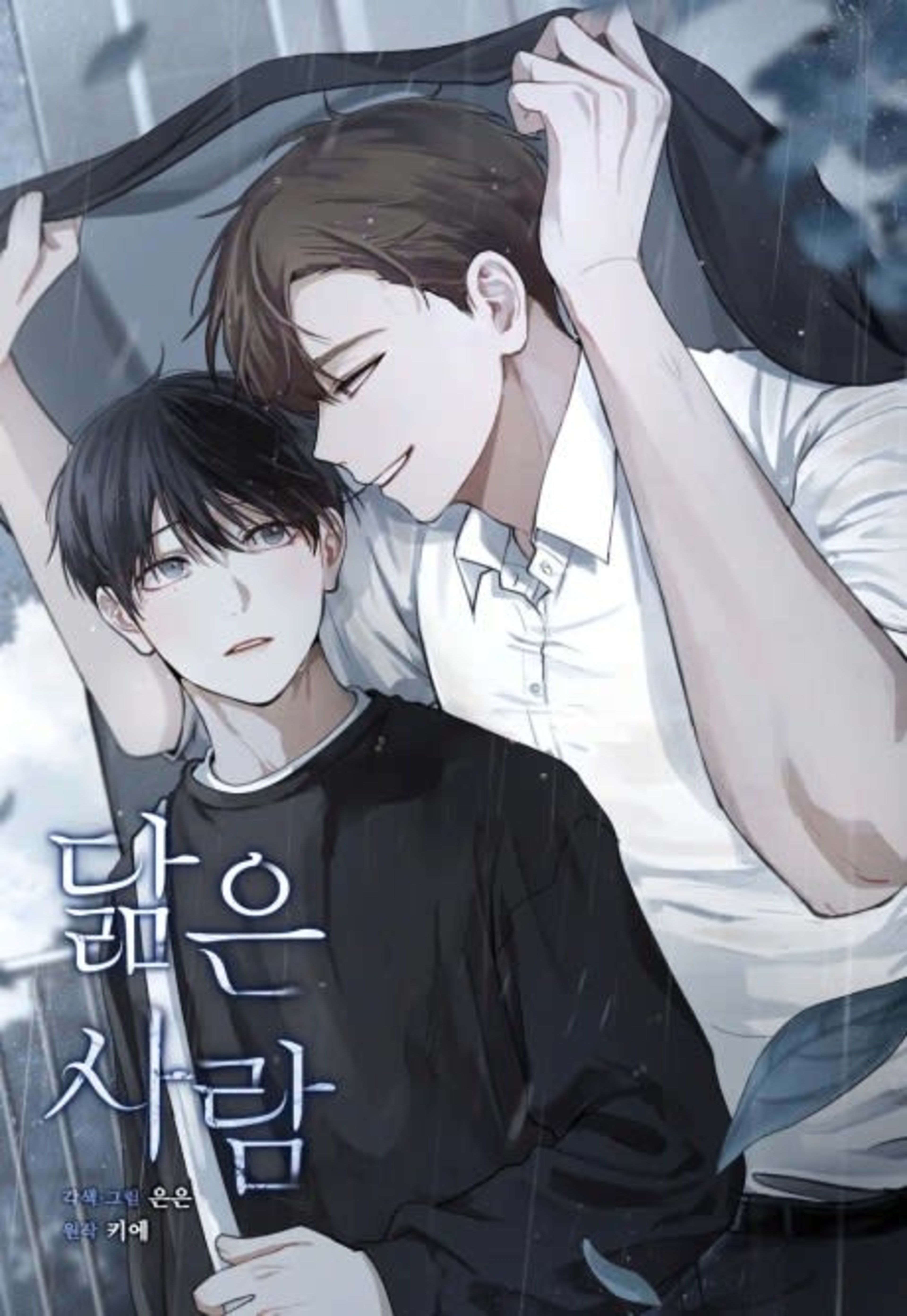Someone Like You cover — © Tappytoon