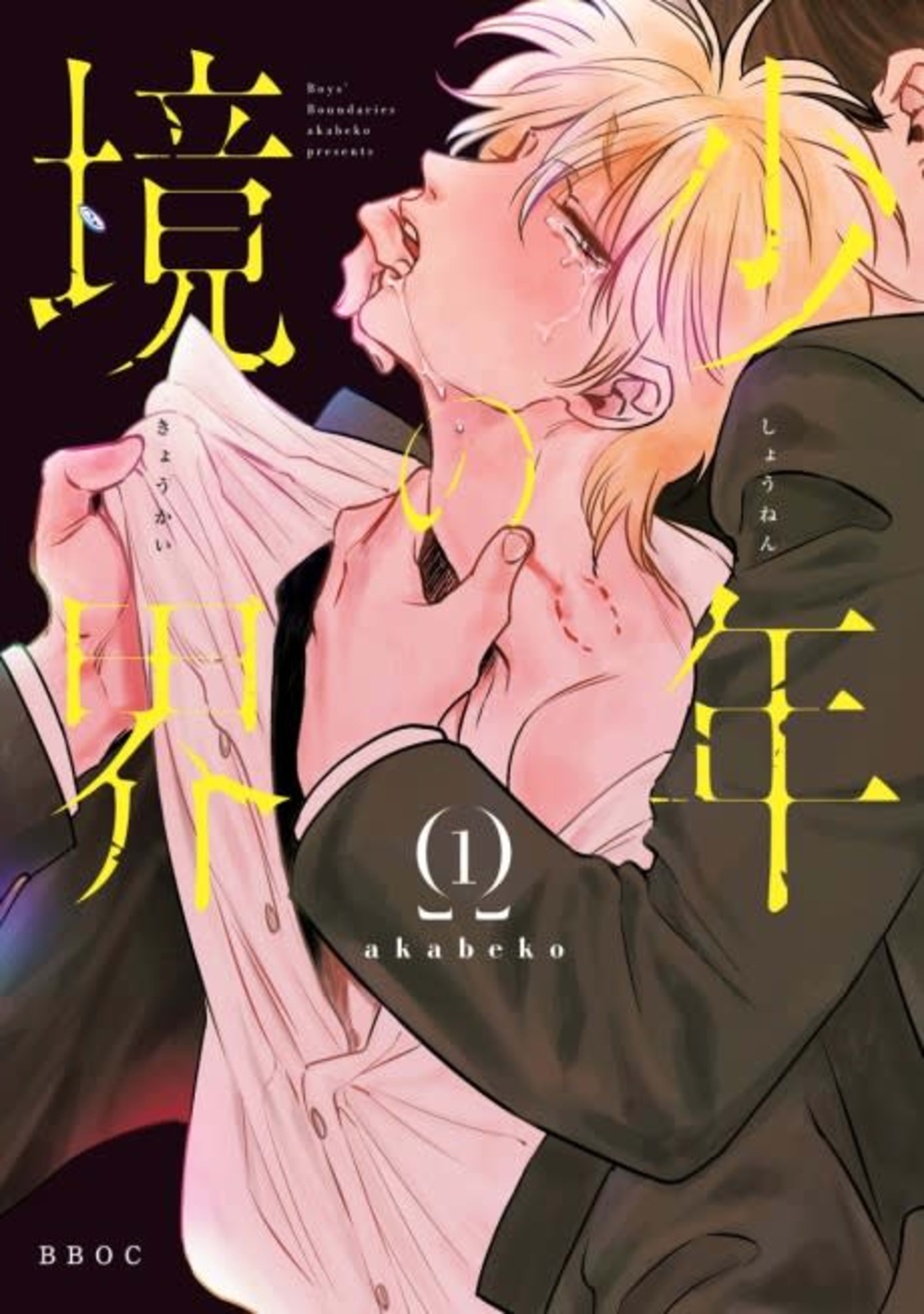 Shounen no Kyoukai cover — © Viz Media