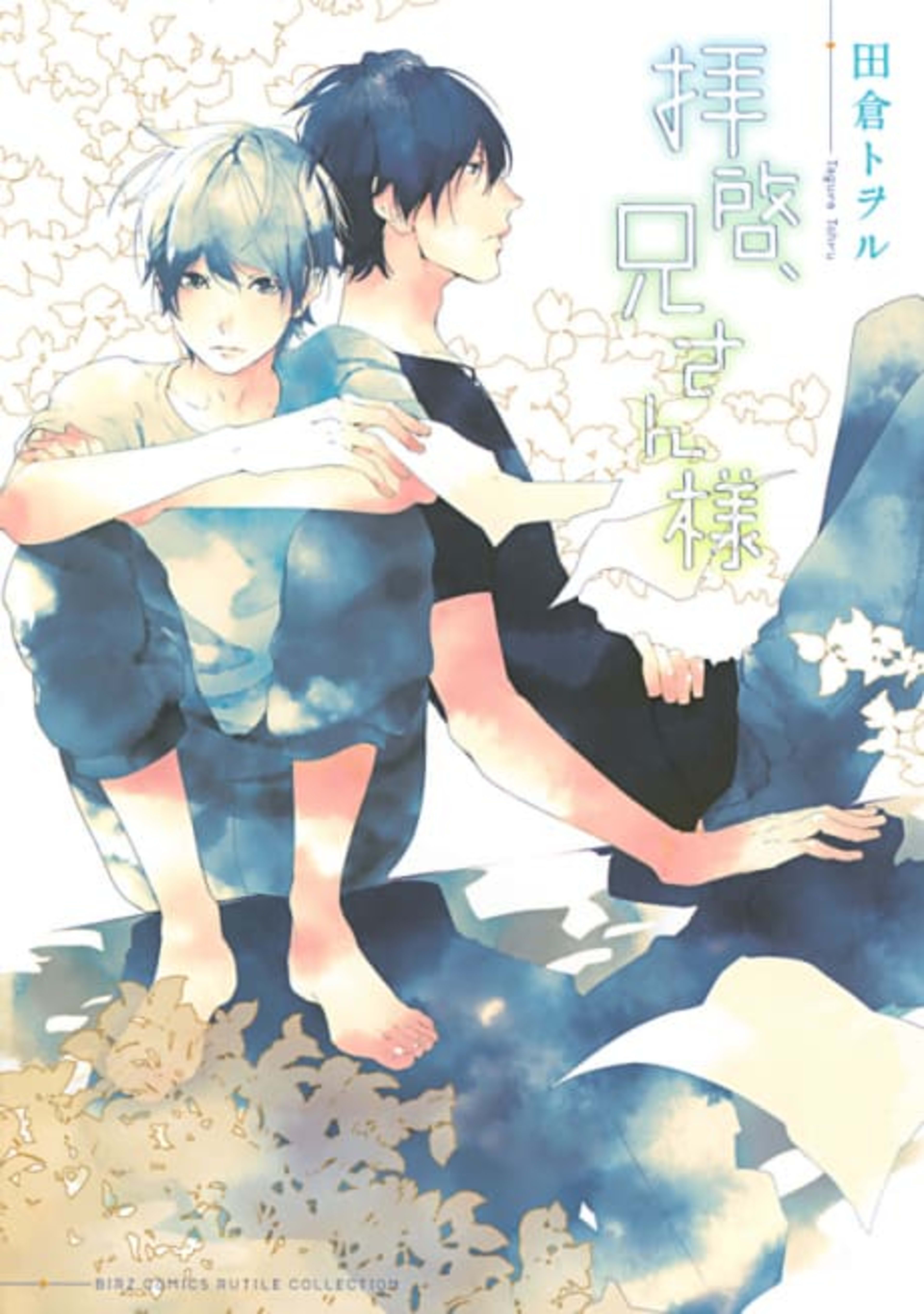 Haikei, Niisan-sama cover — © Viz Media