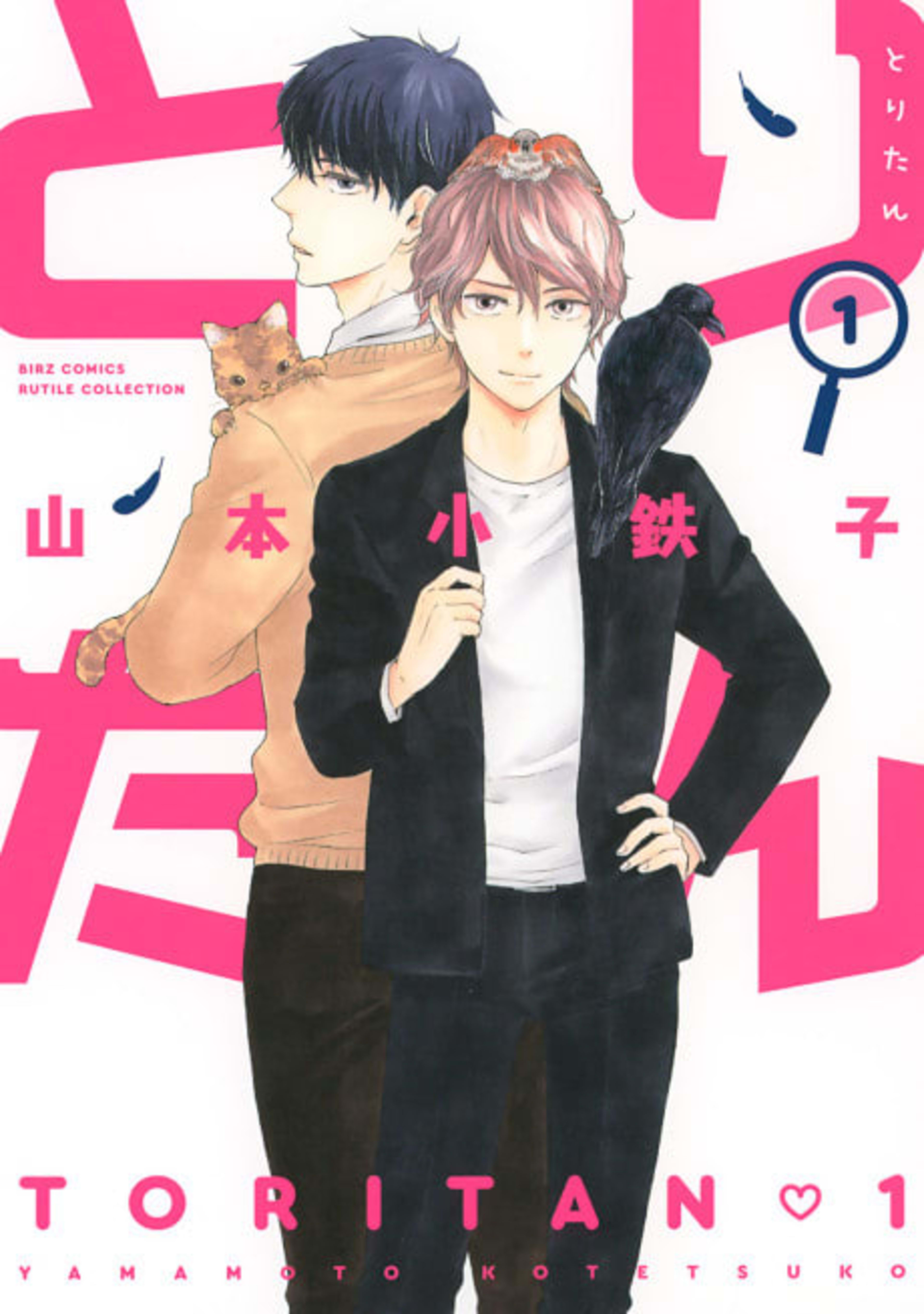 Toritan: Birds of a Feather cover — © Viz Media