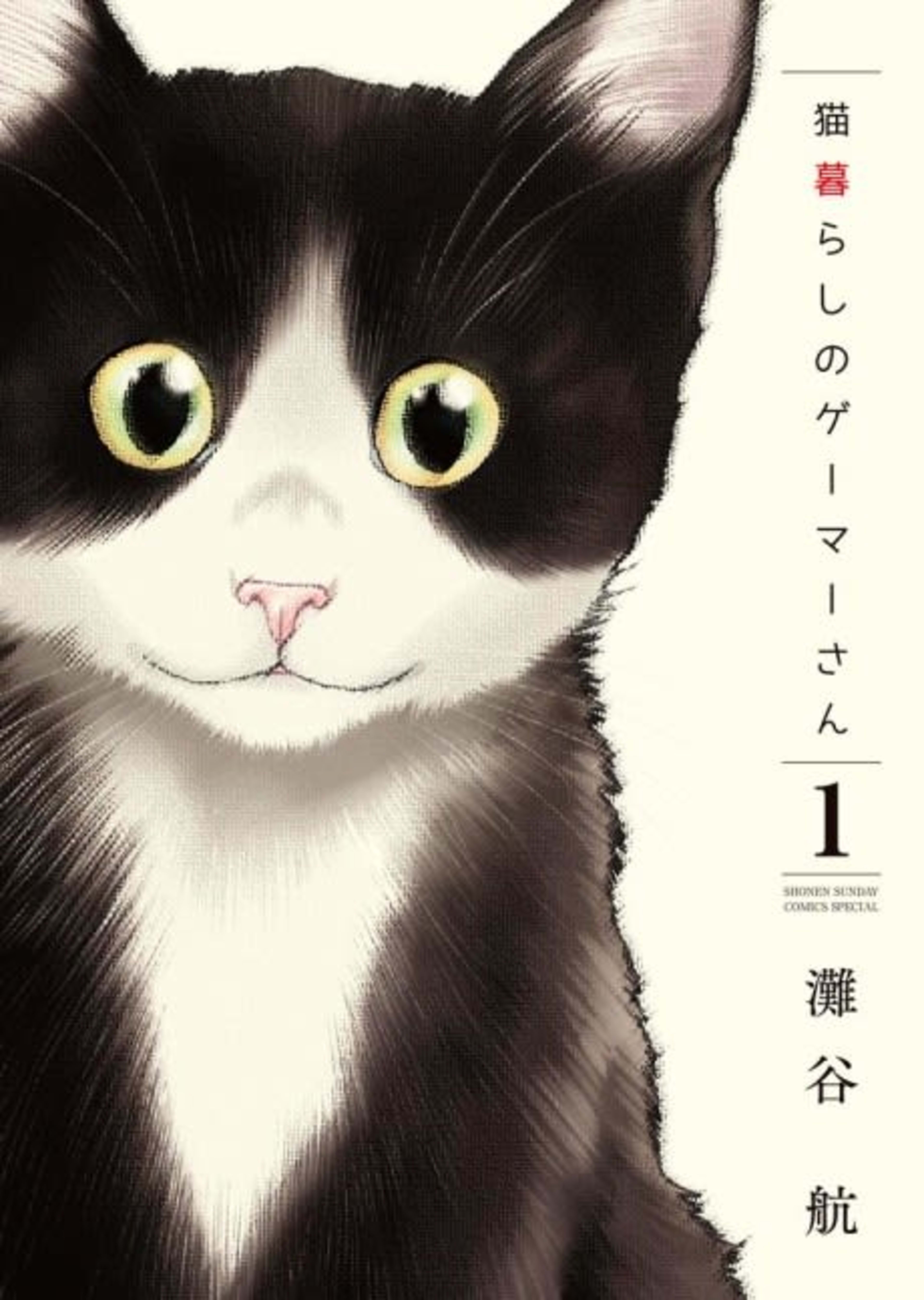 Cat + Gamer cover — © Dark Horse Comics