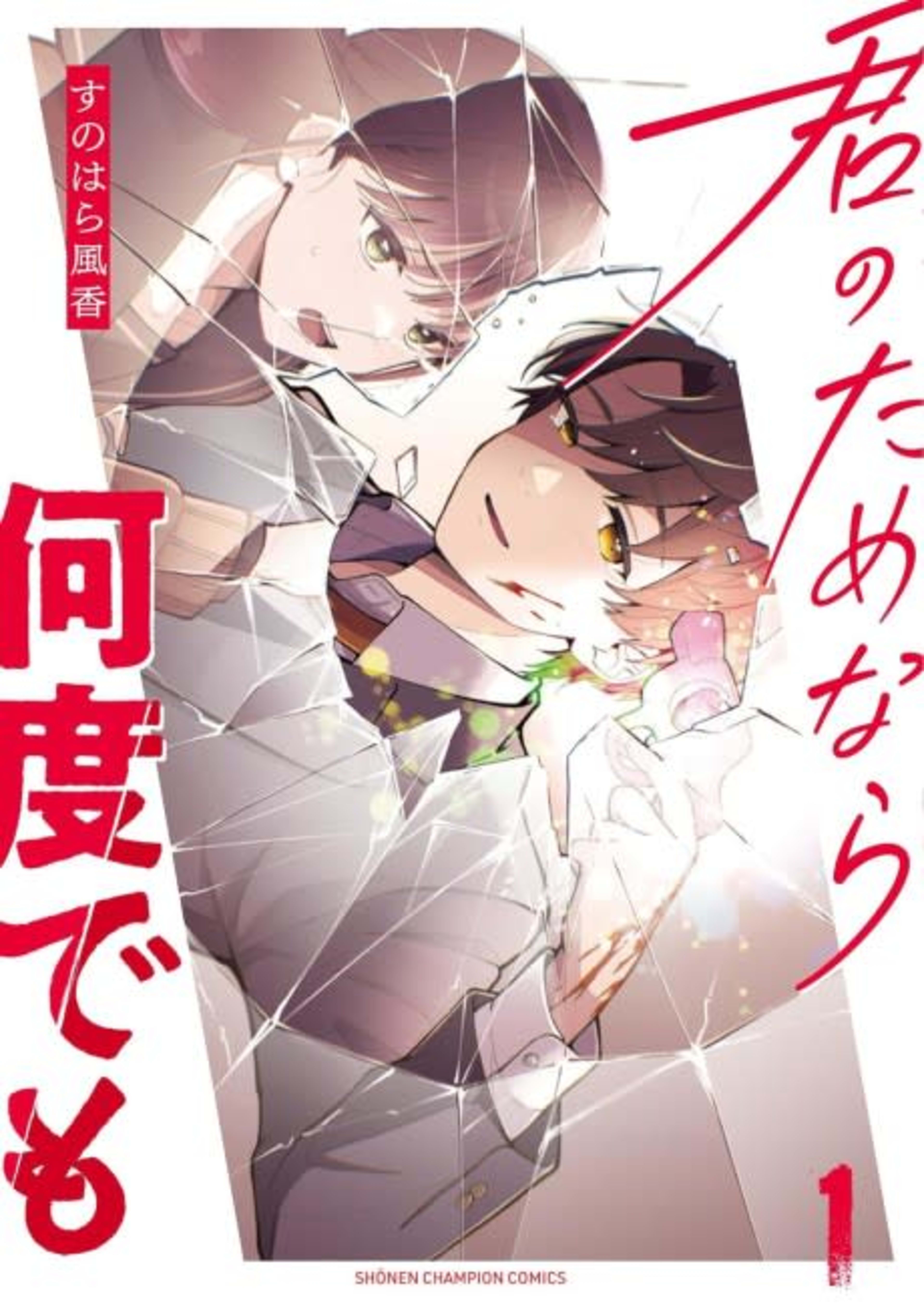 Kimi no Tamenara Nando Demo cover — © Viz Media