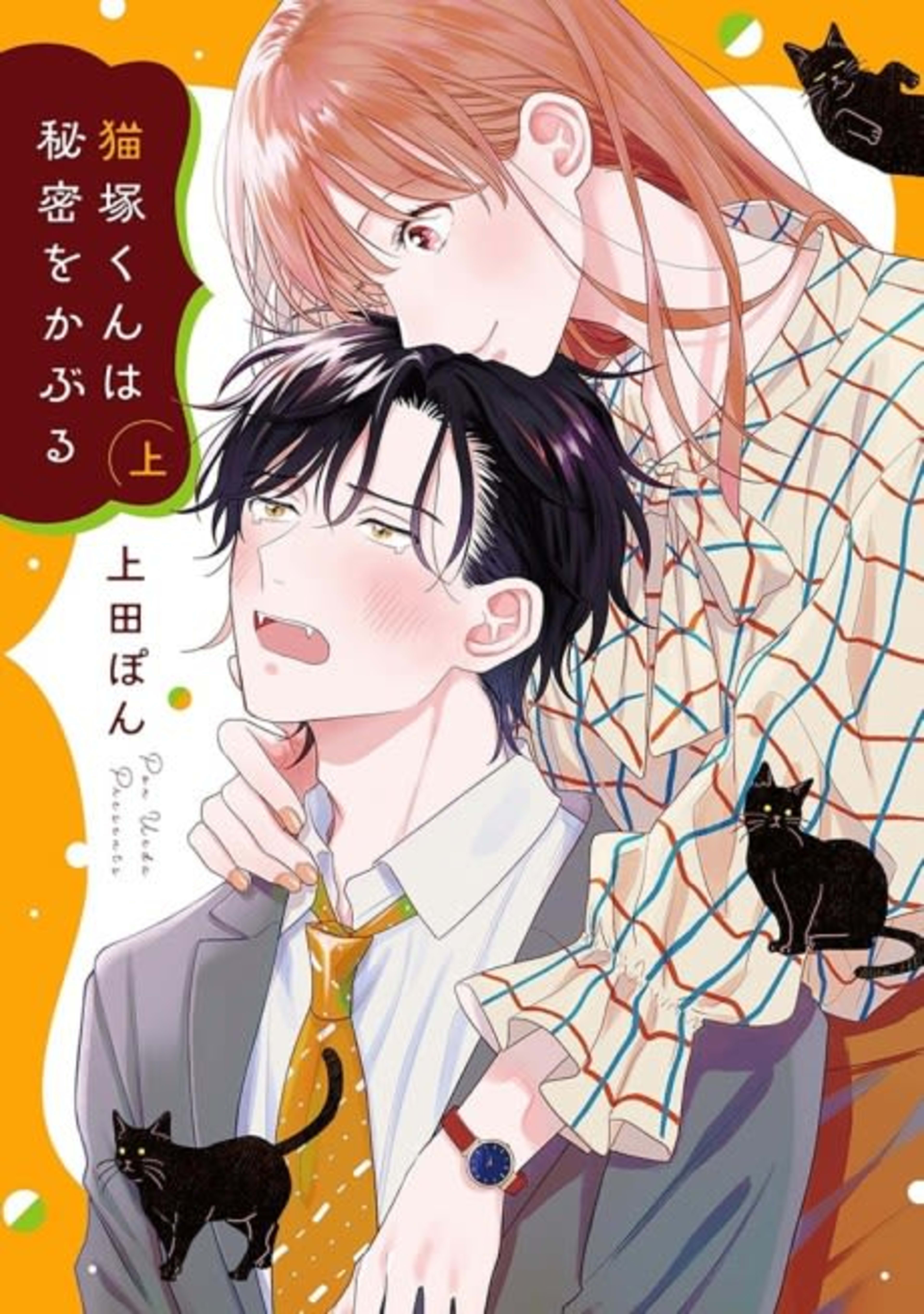 Nekozuka-kun wa Himitsu wo Kaburu cover — © Viz Media