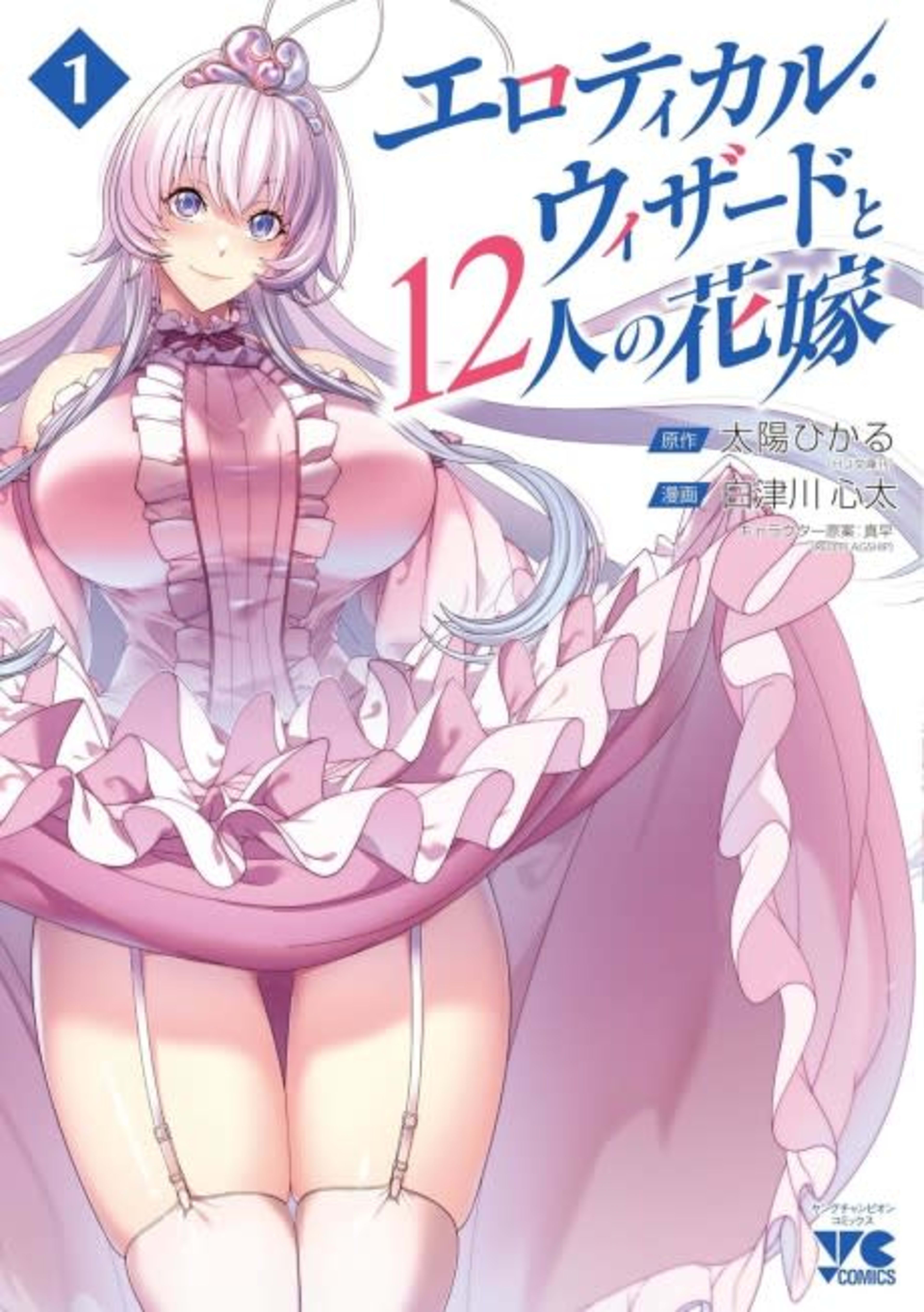The Erotical Wizard and His Twelve Brides cover — © Viz Media