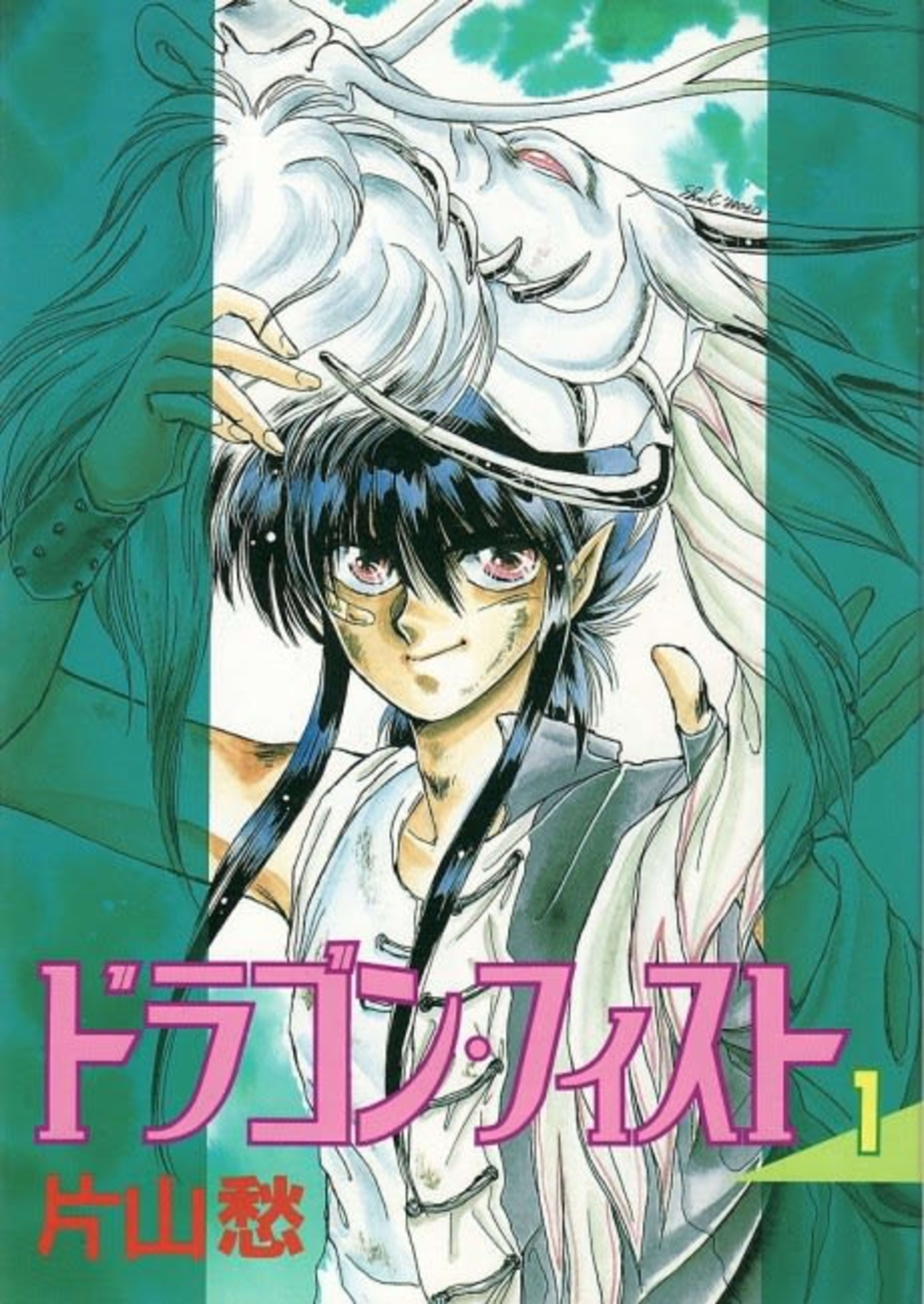 Dragon Fist cover — © Viz Media