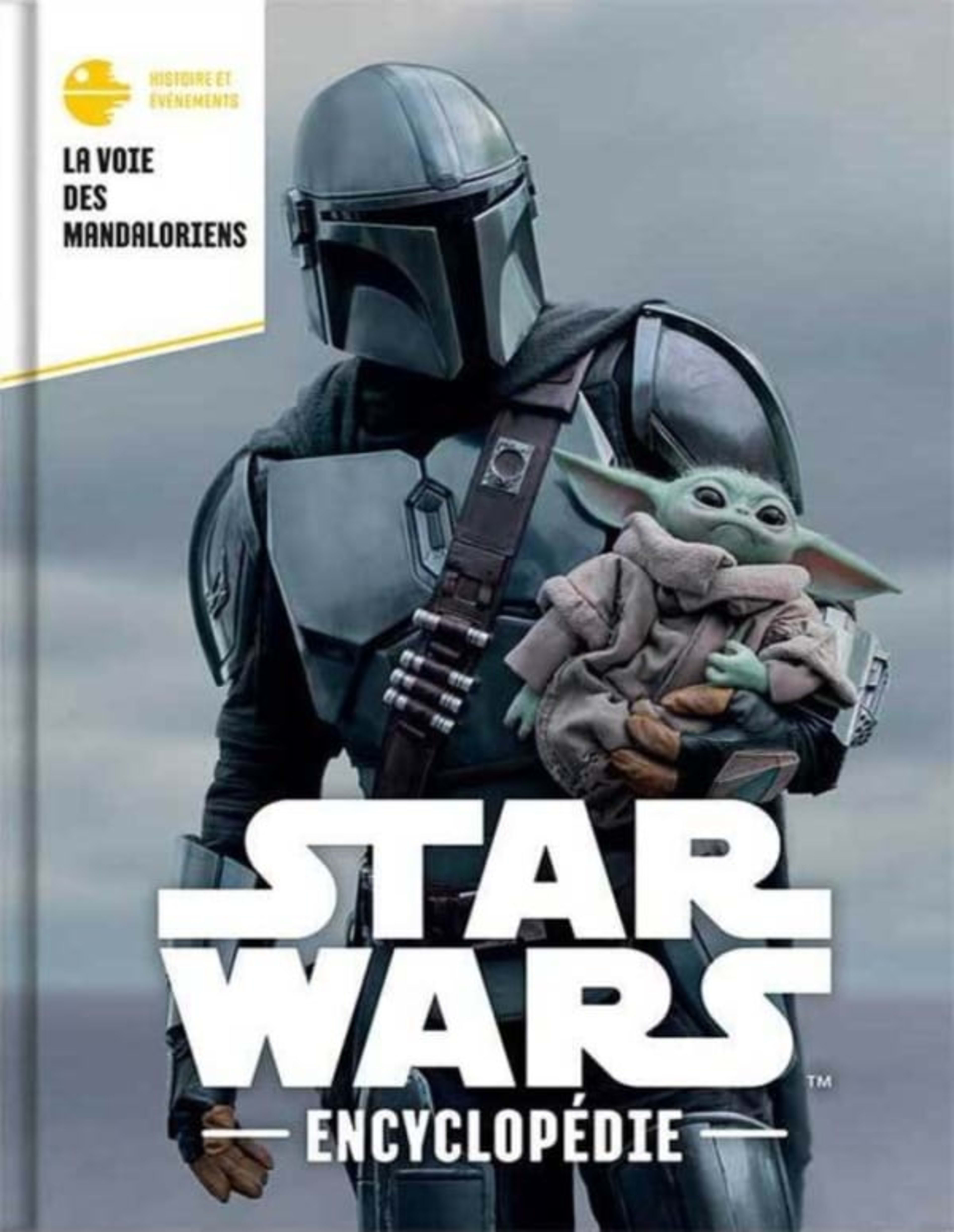 Enciclopedia Star Wars 80