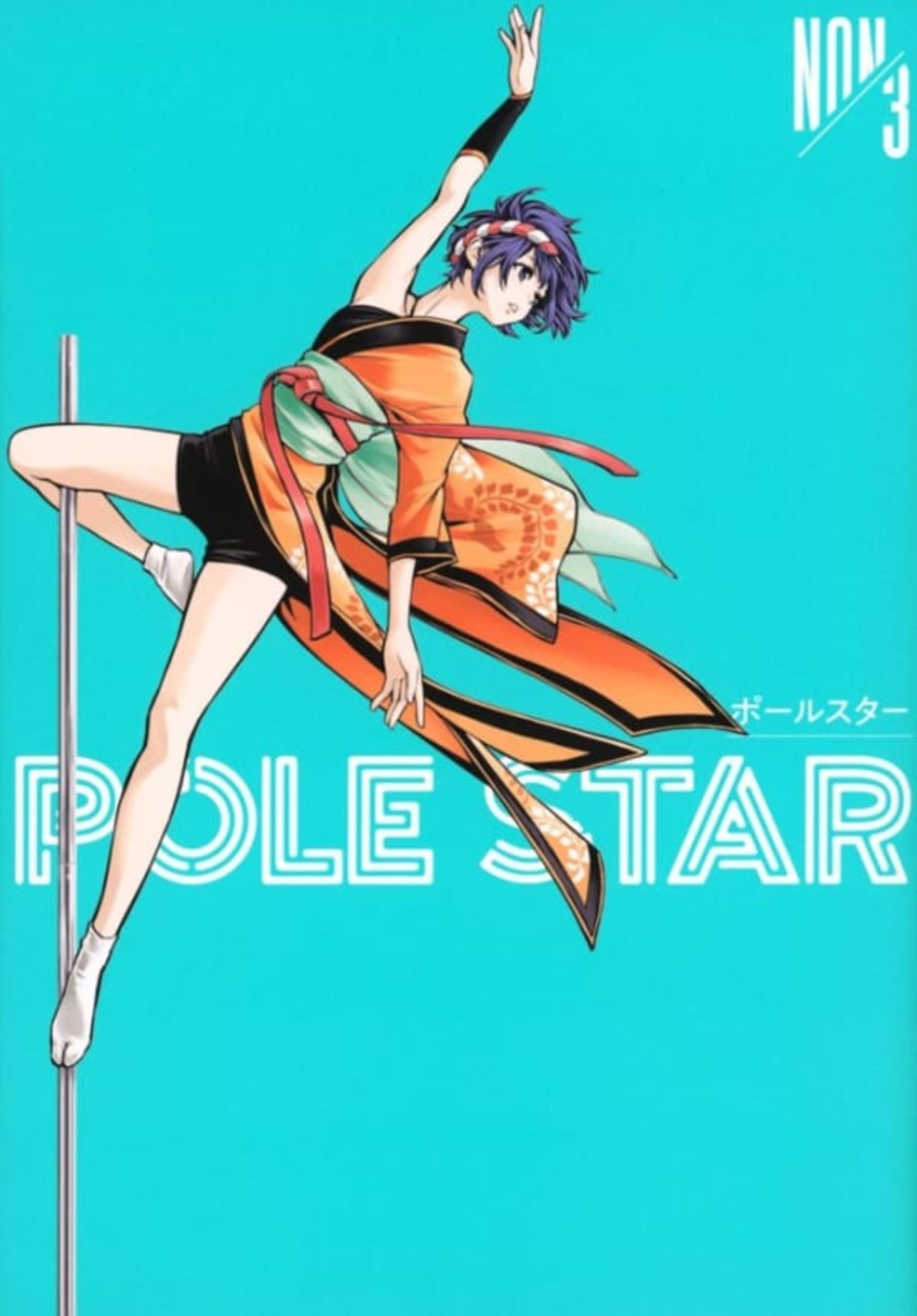 Pole Star 3