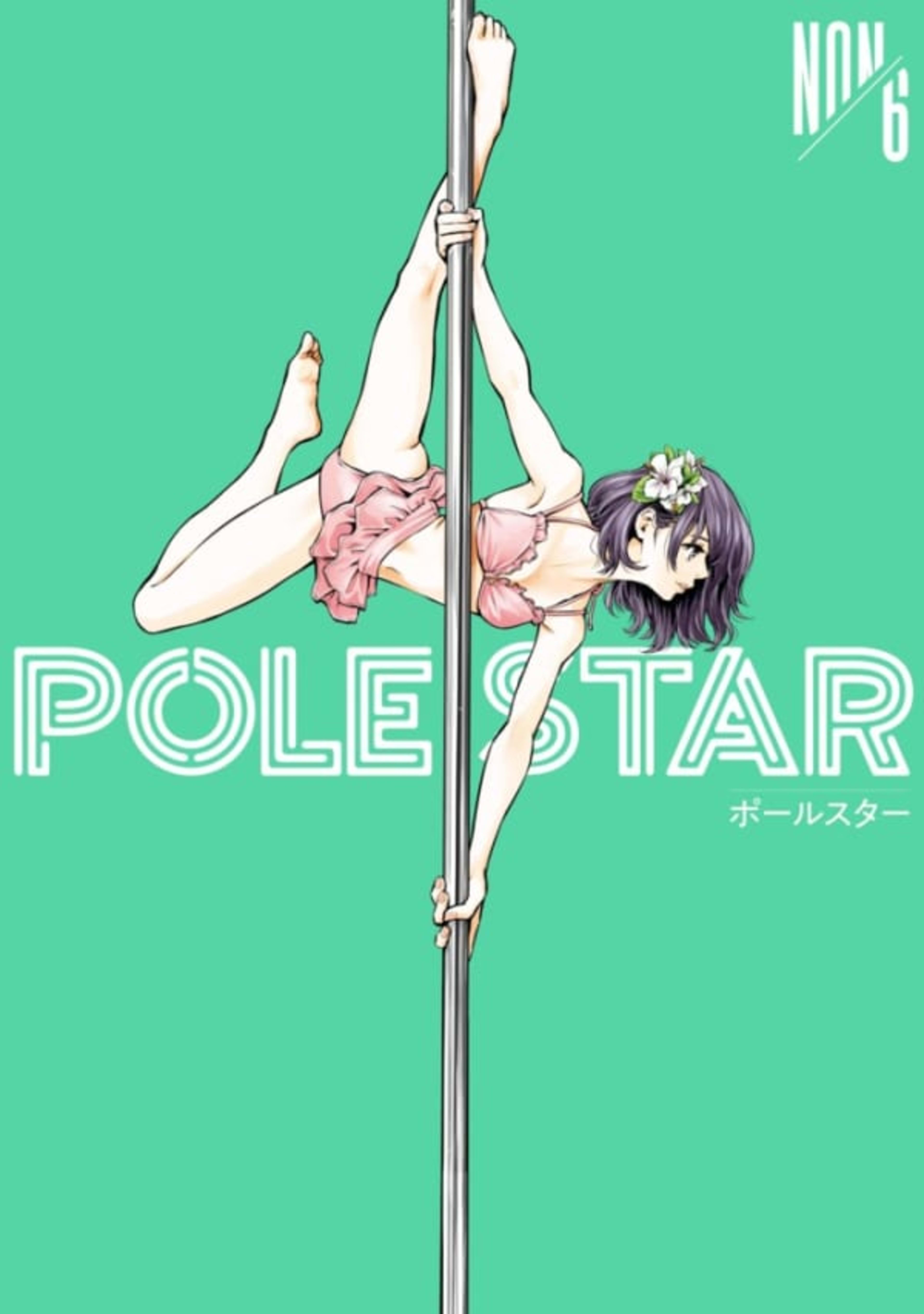 Pole Star 6