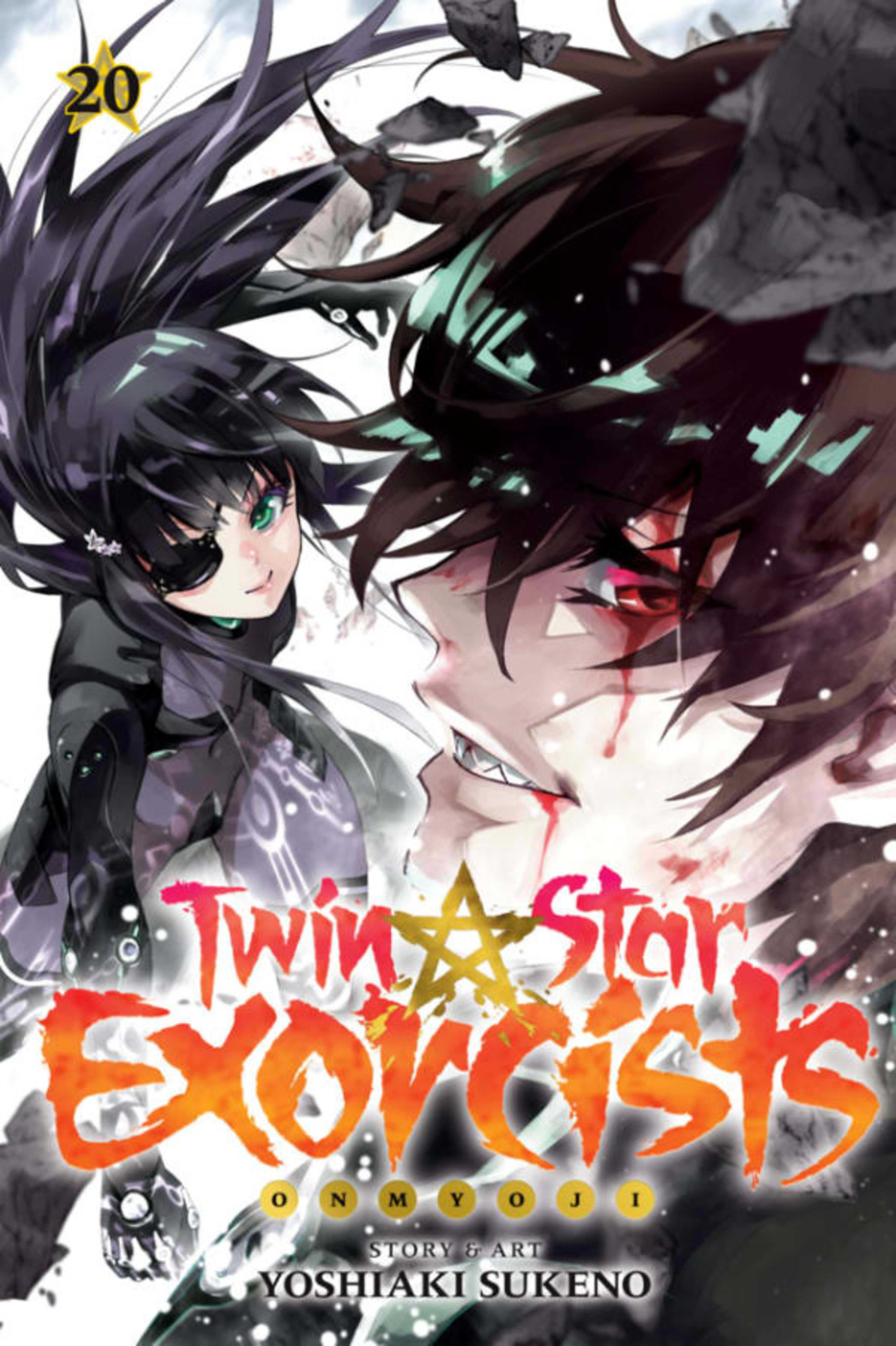 Twin Star Exorcists 20