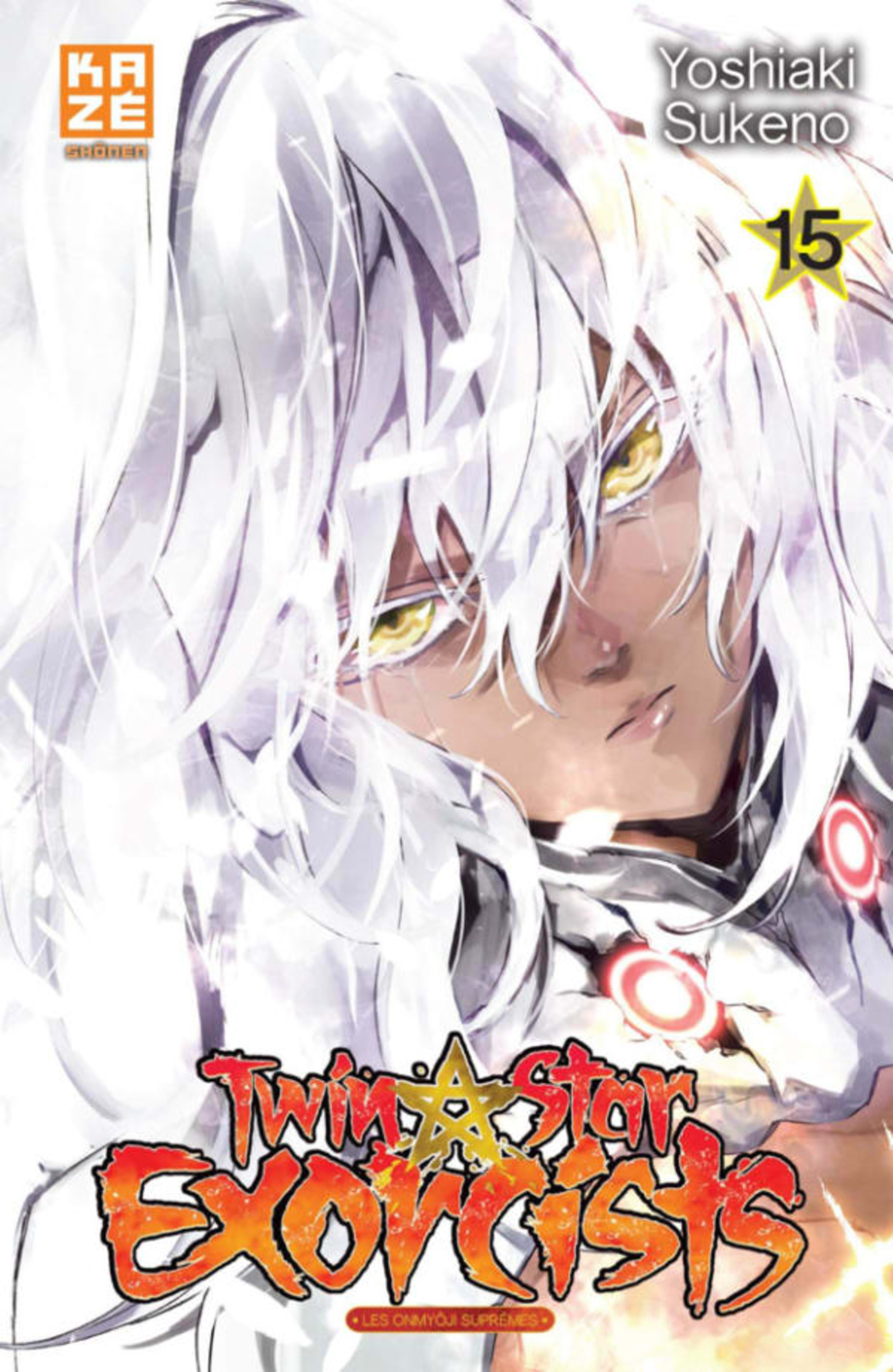 Twin Star Exorcists 15