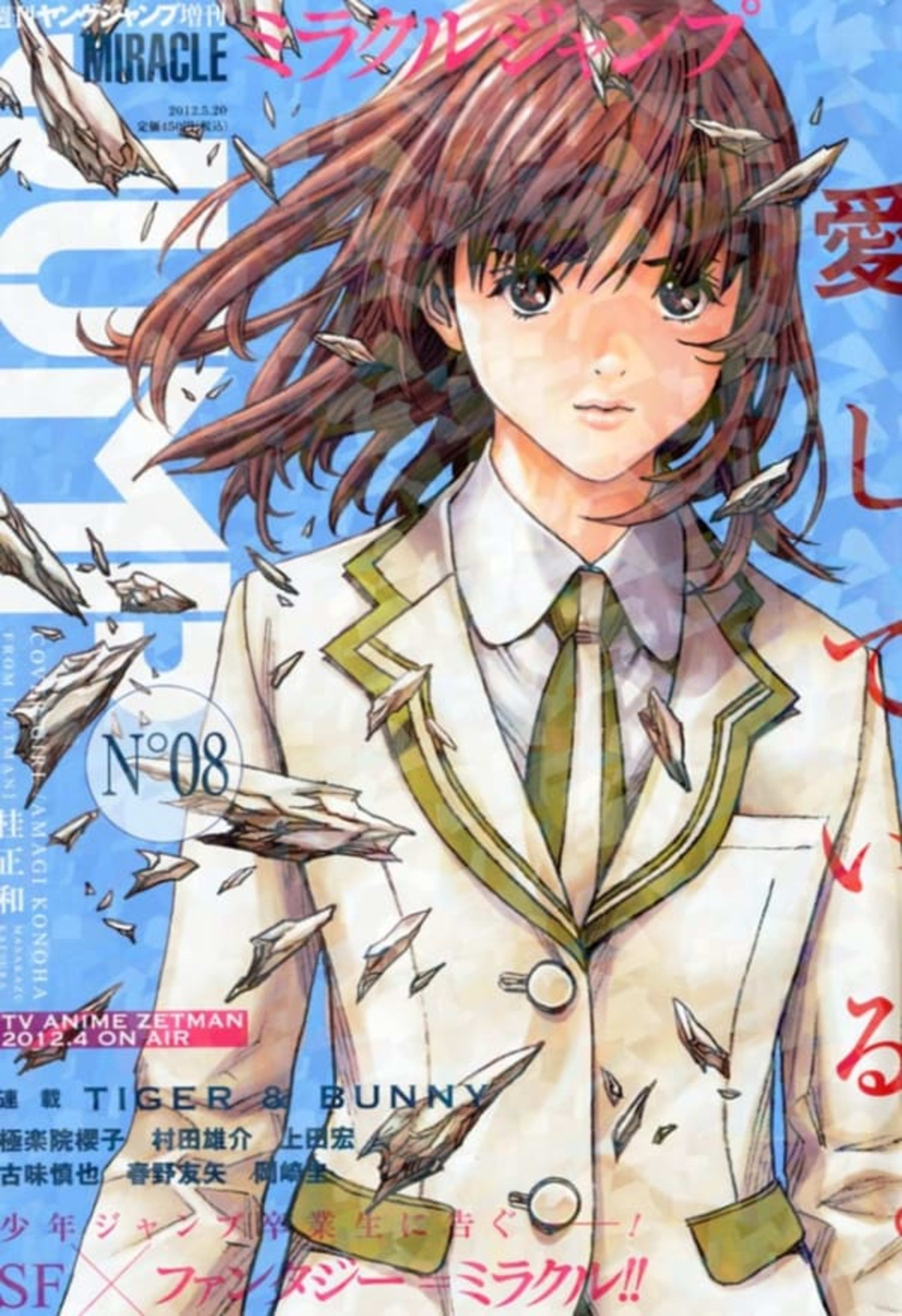 Miracle Jump 8