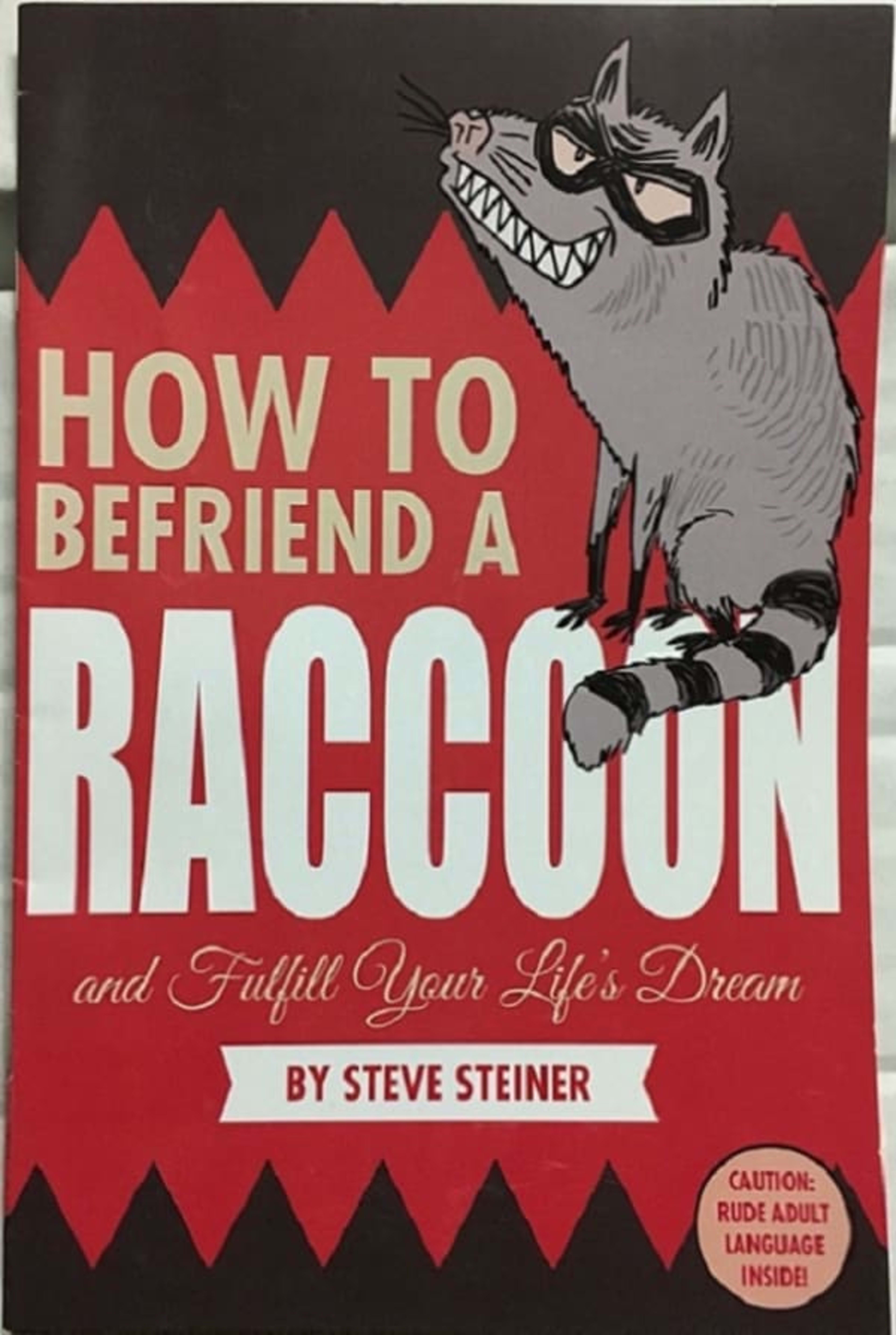How to Befriend a Raccoon and Fulfill Your Life's Dreams cover — © Mullet Turtle Comics