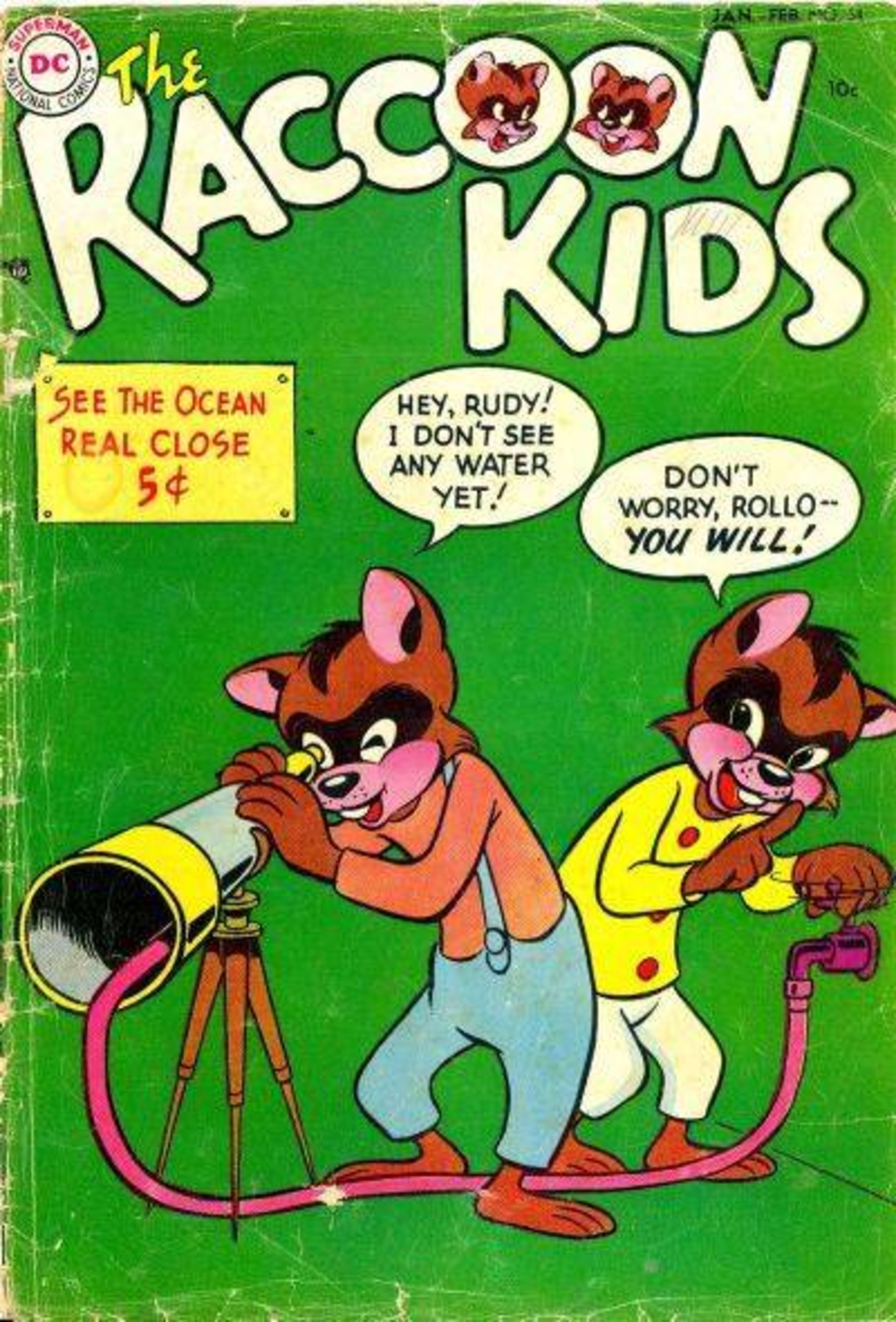 The Raccoon Kids 54