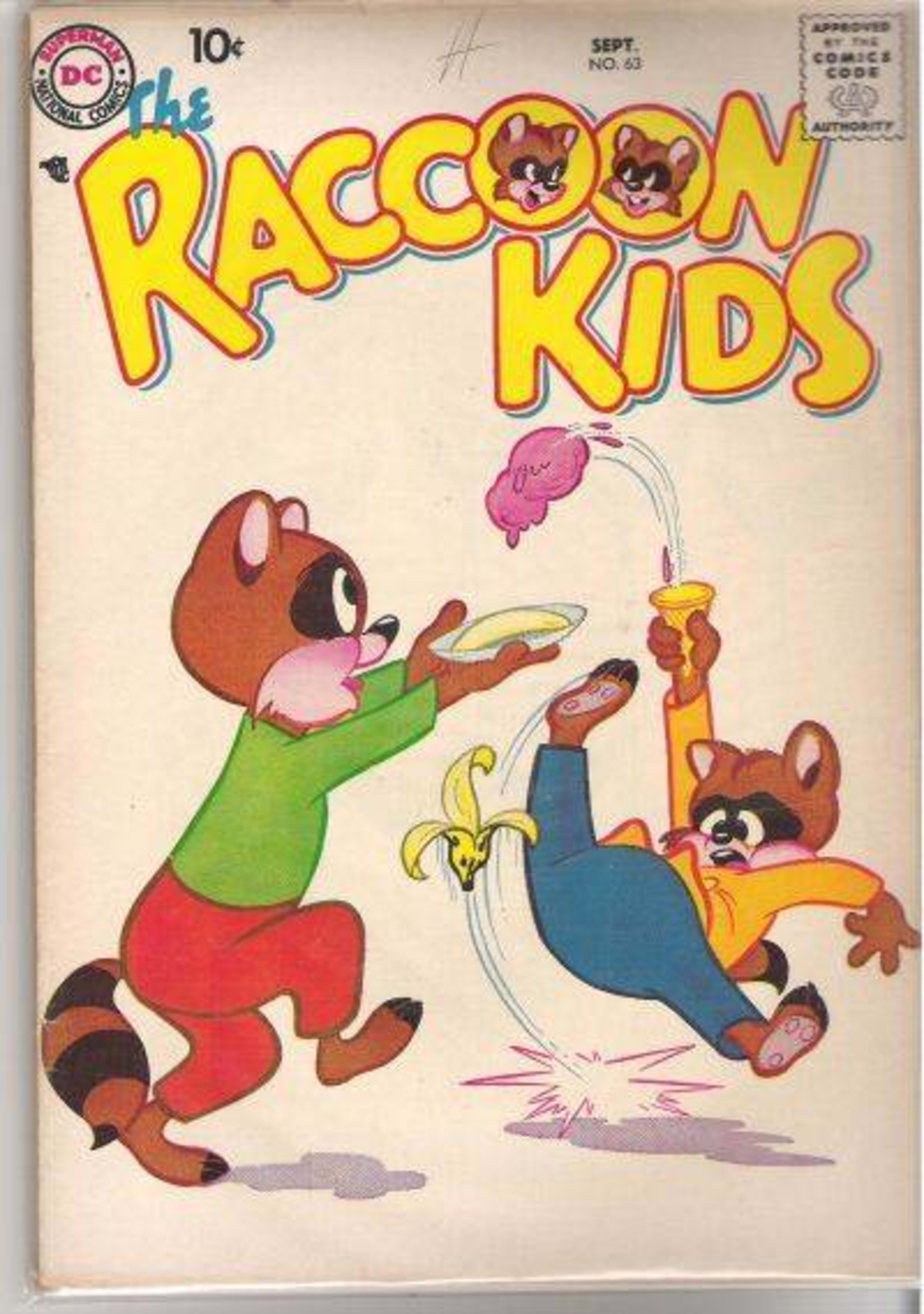 The Raccoon Kids 63