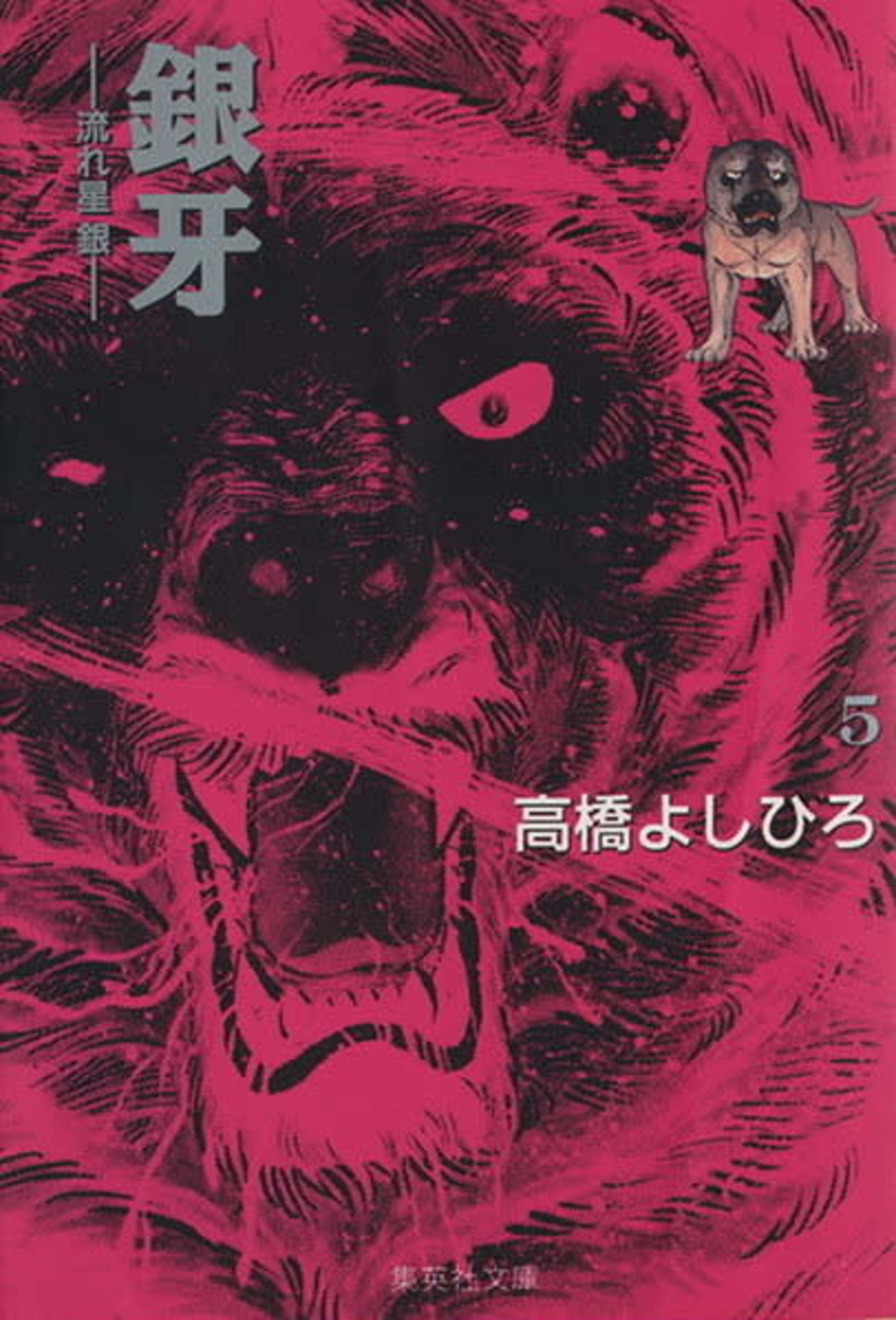 Ginga: Nagareboshi Gin 5