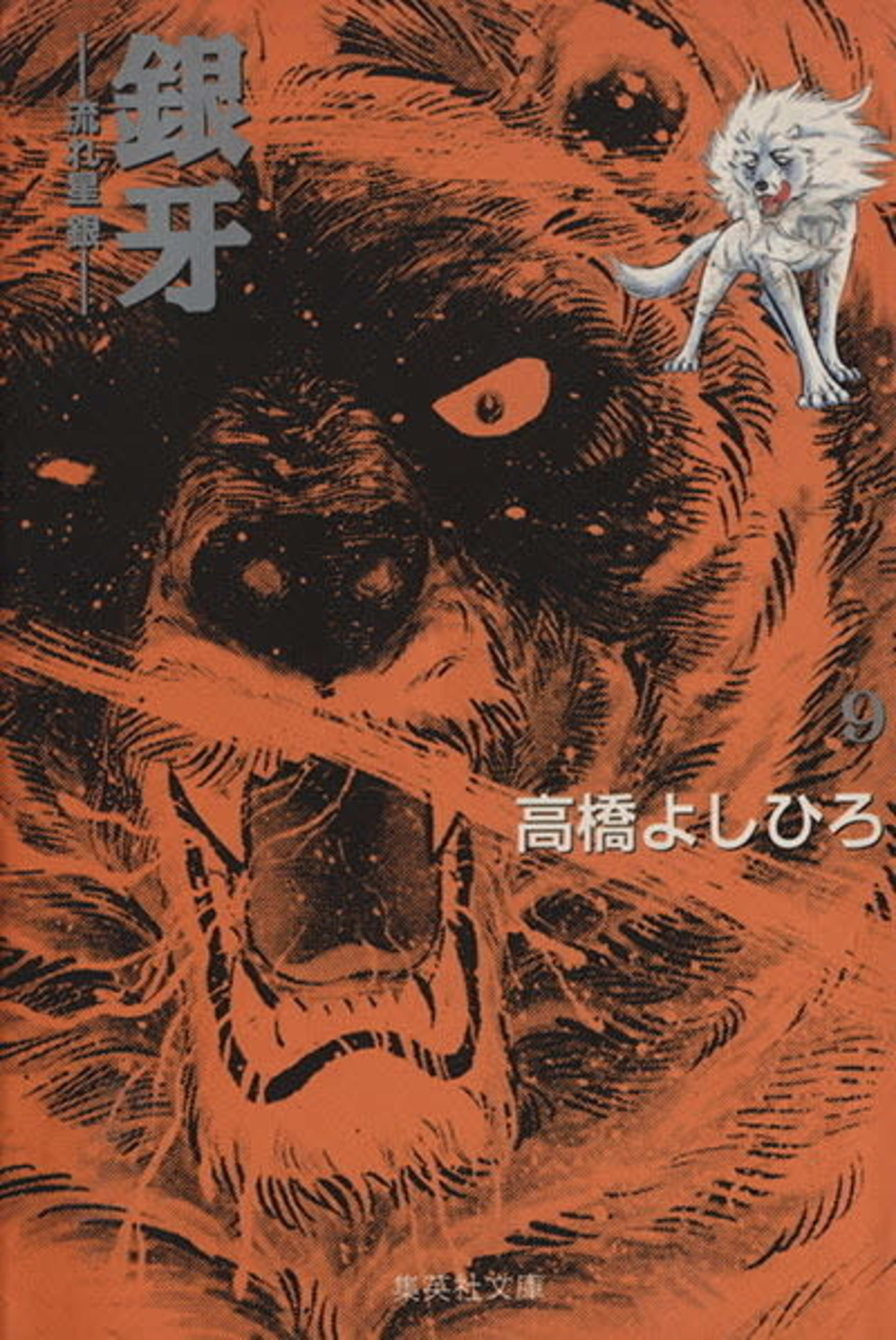 Ginga: Nagareboshi Gin 9