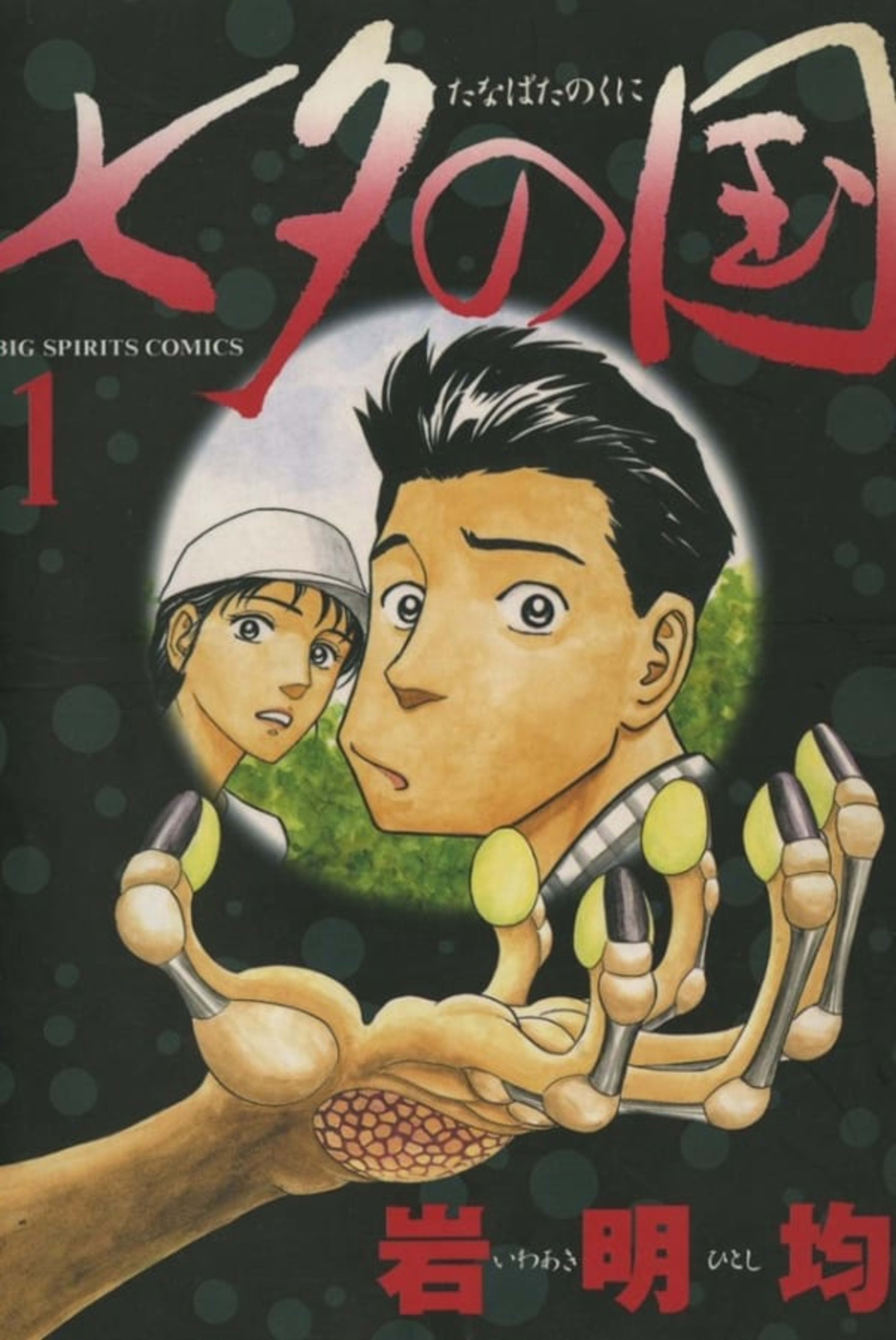 Tanabata no Kuni cover — © Shogakukan