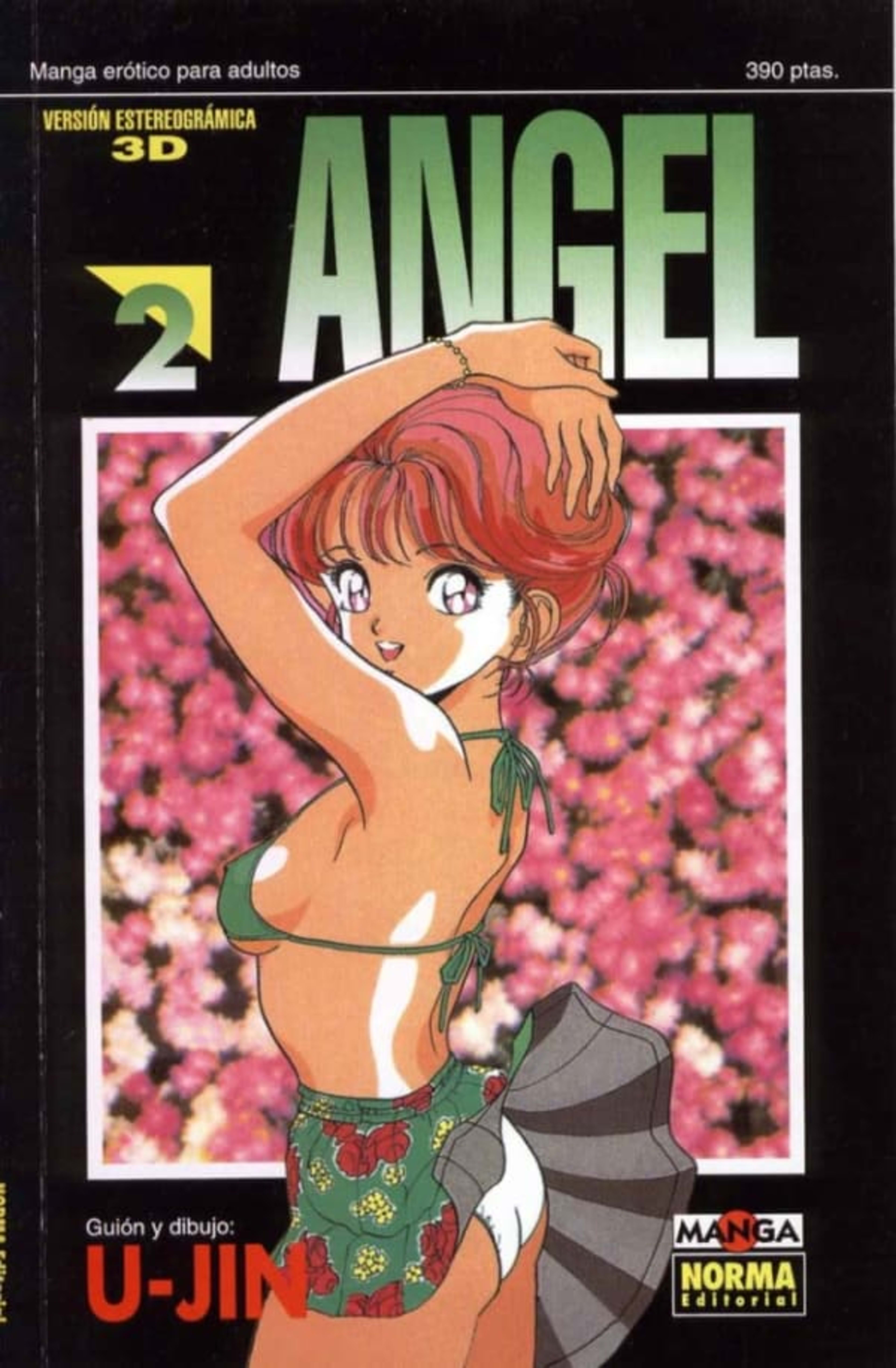 Ángel 2