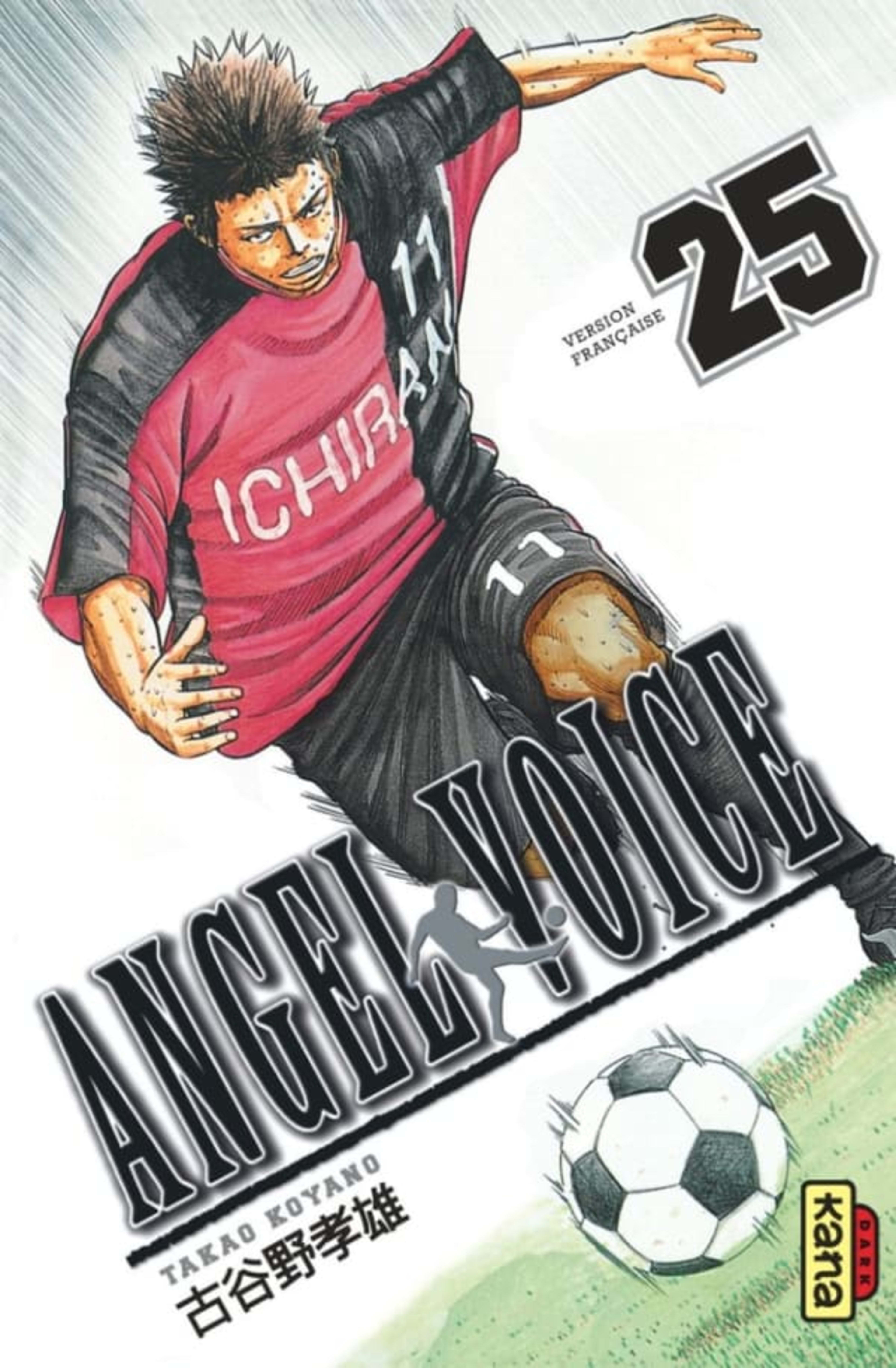 Angel Voice 25