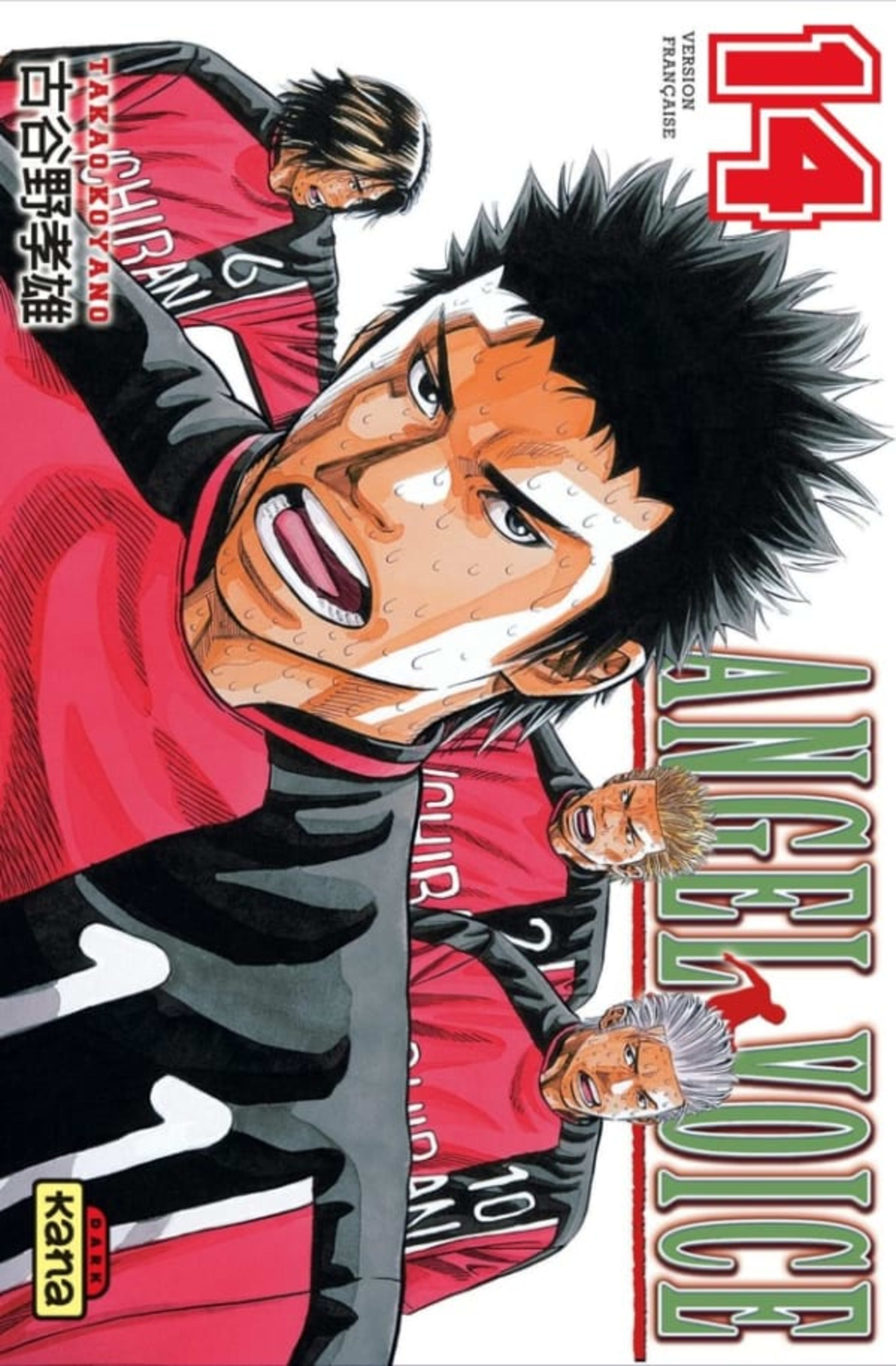 Angel Voice 14