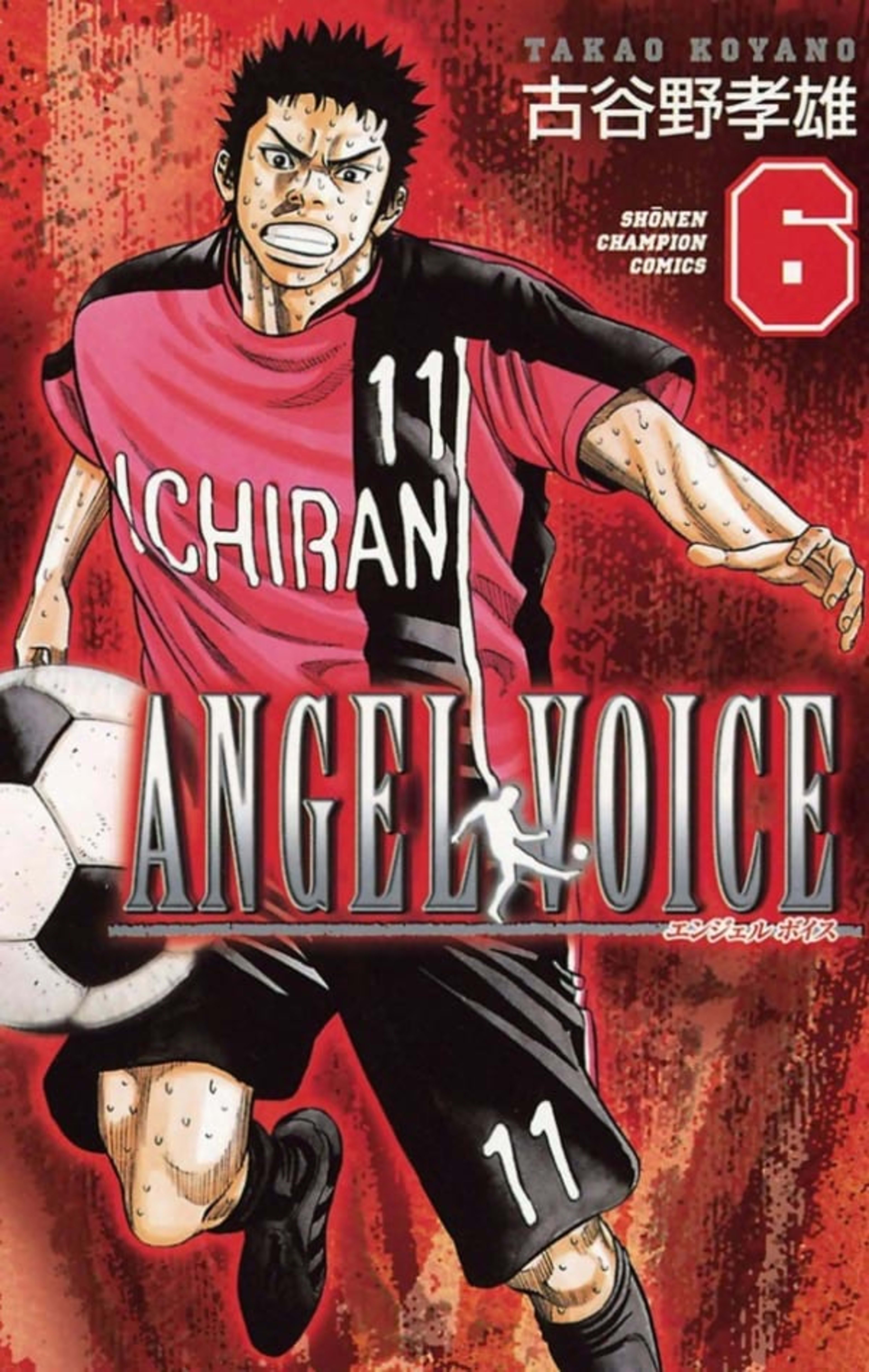 Angel Voice 6