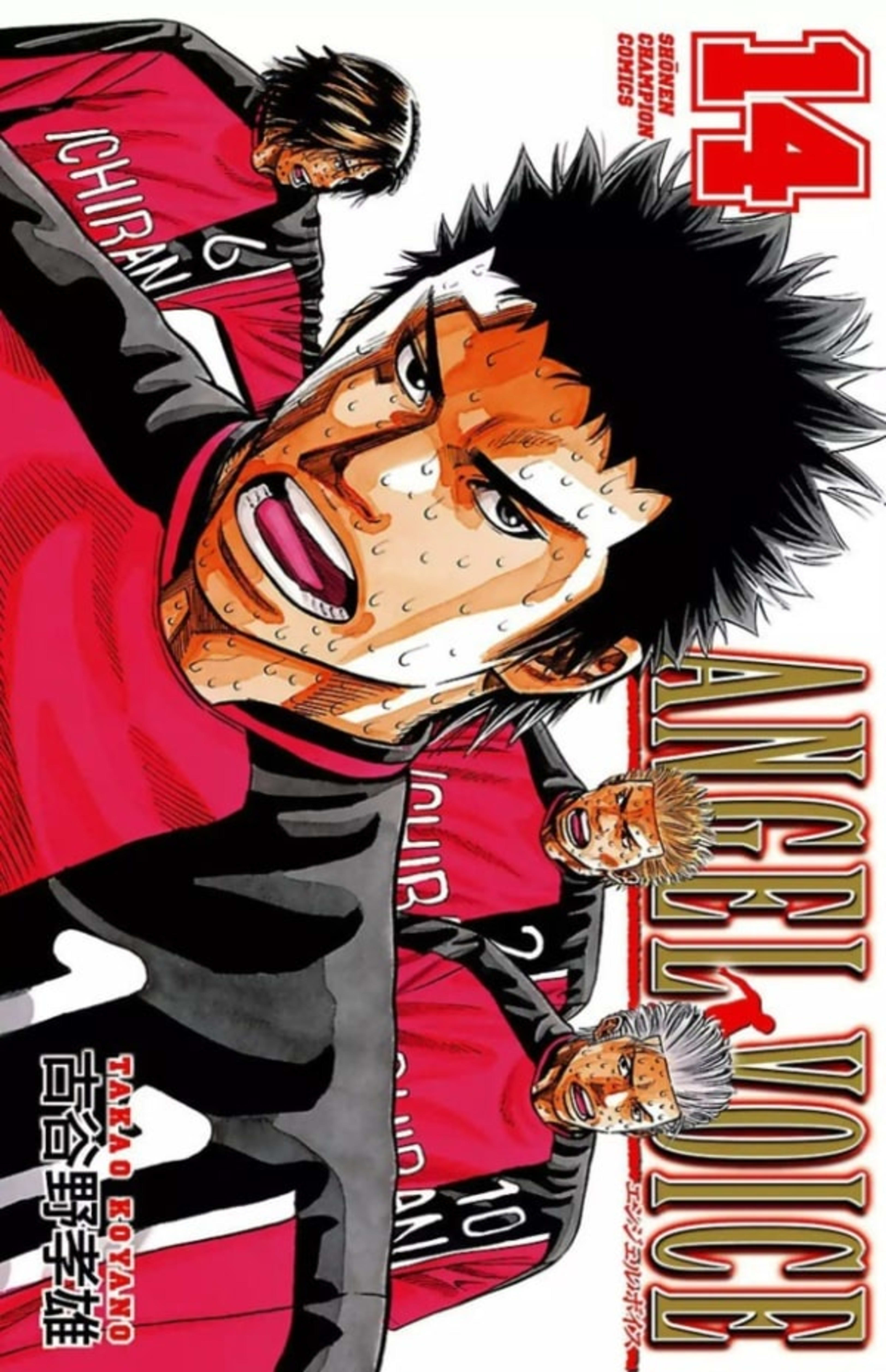 Angel Voice 14