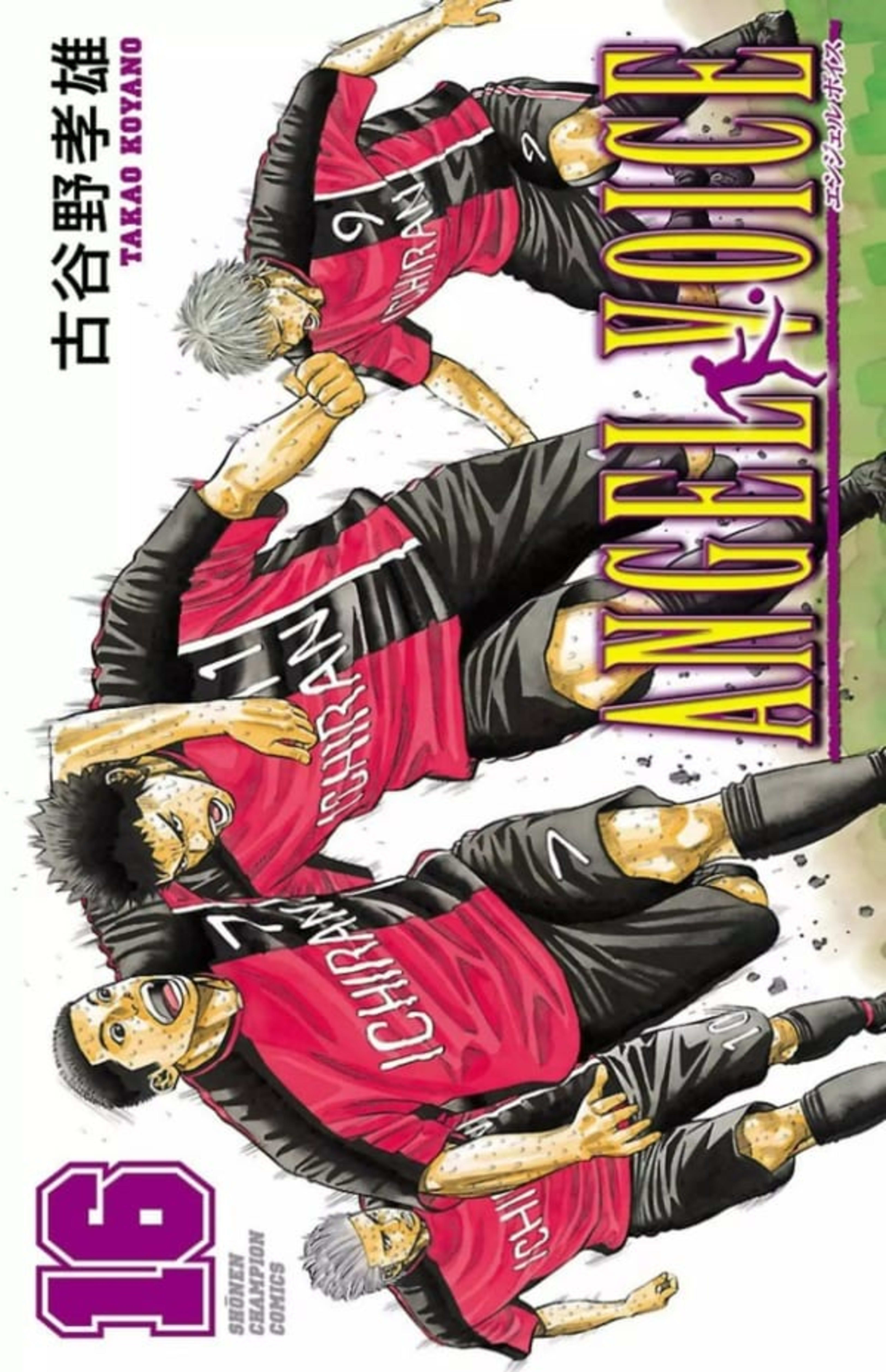 Angel Voice 16