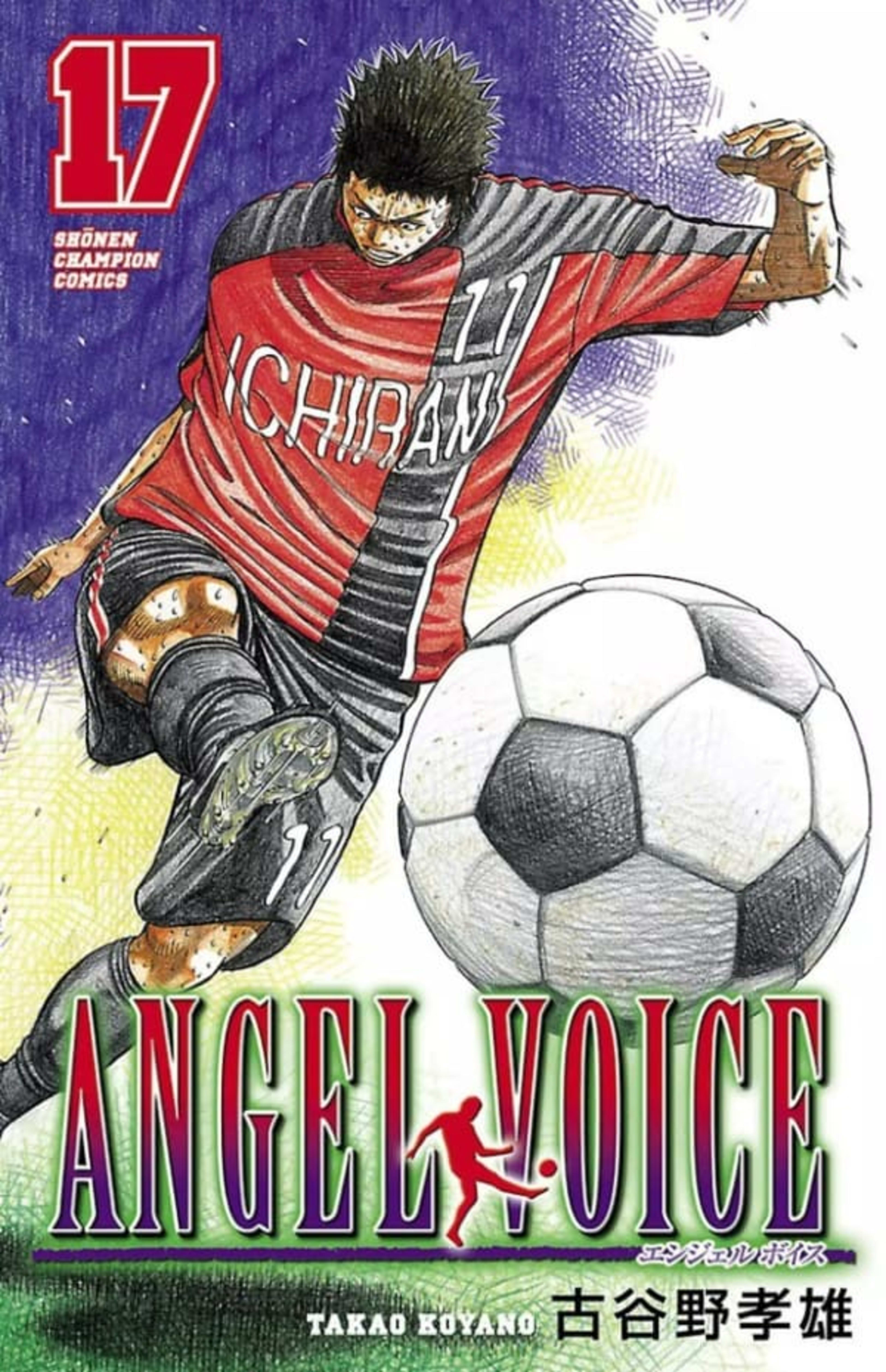 Angel Voice 17