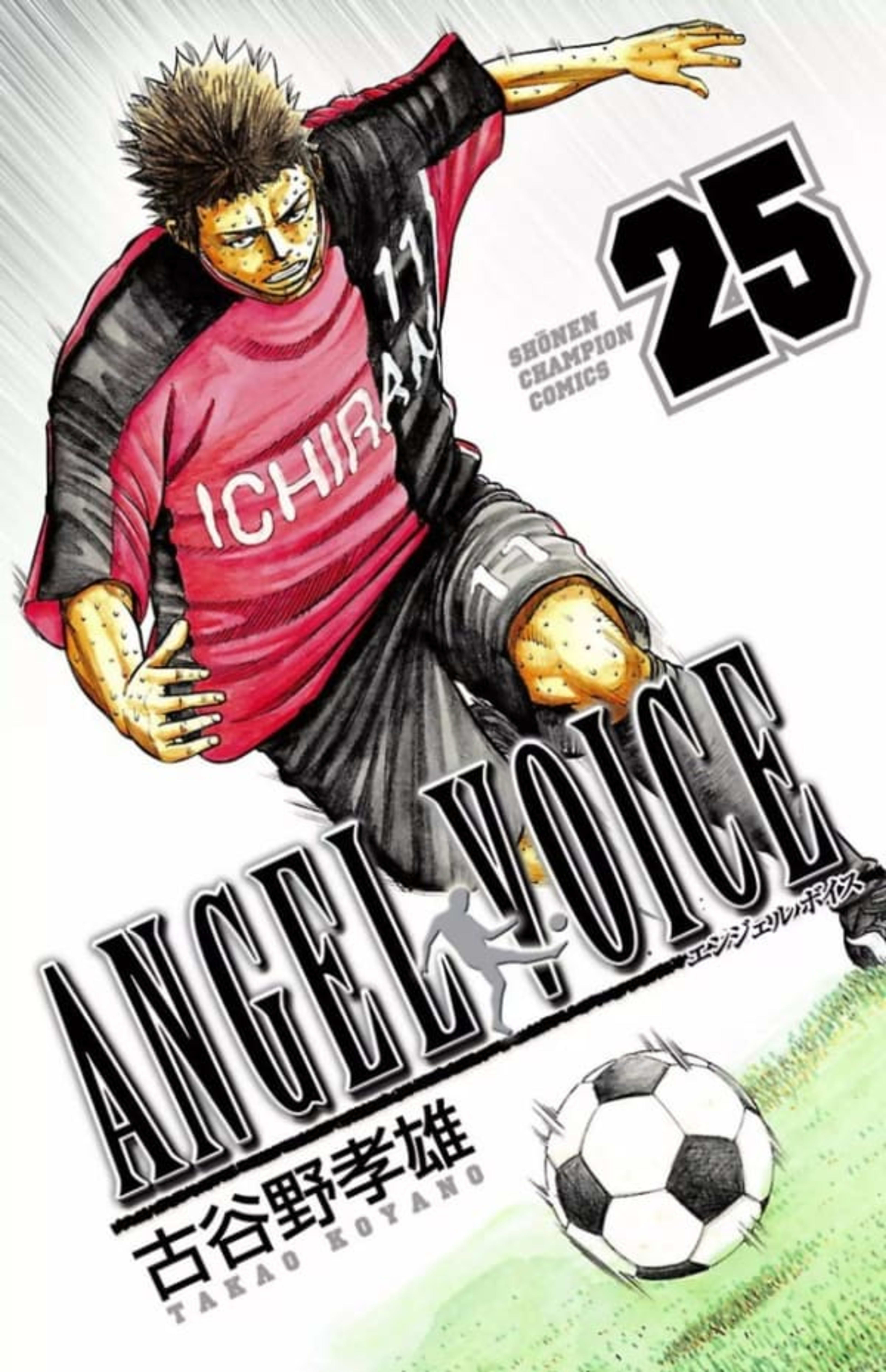 Angel Voice 25