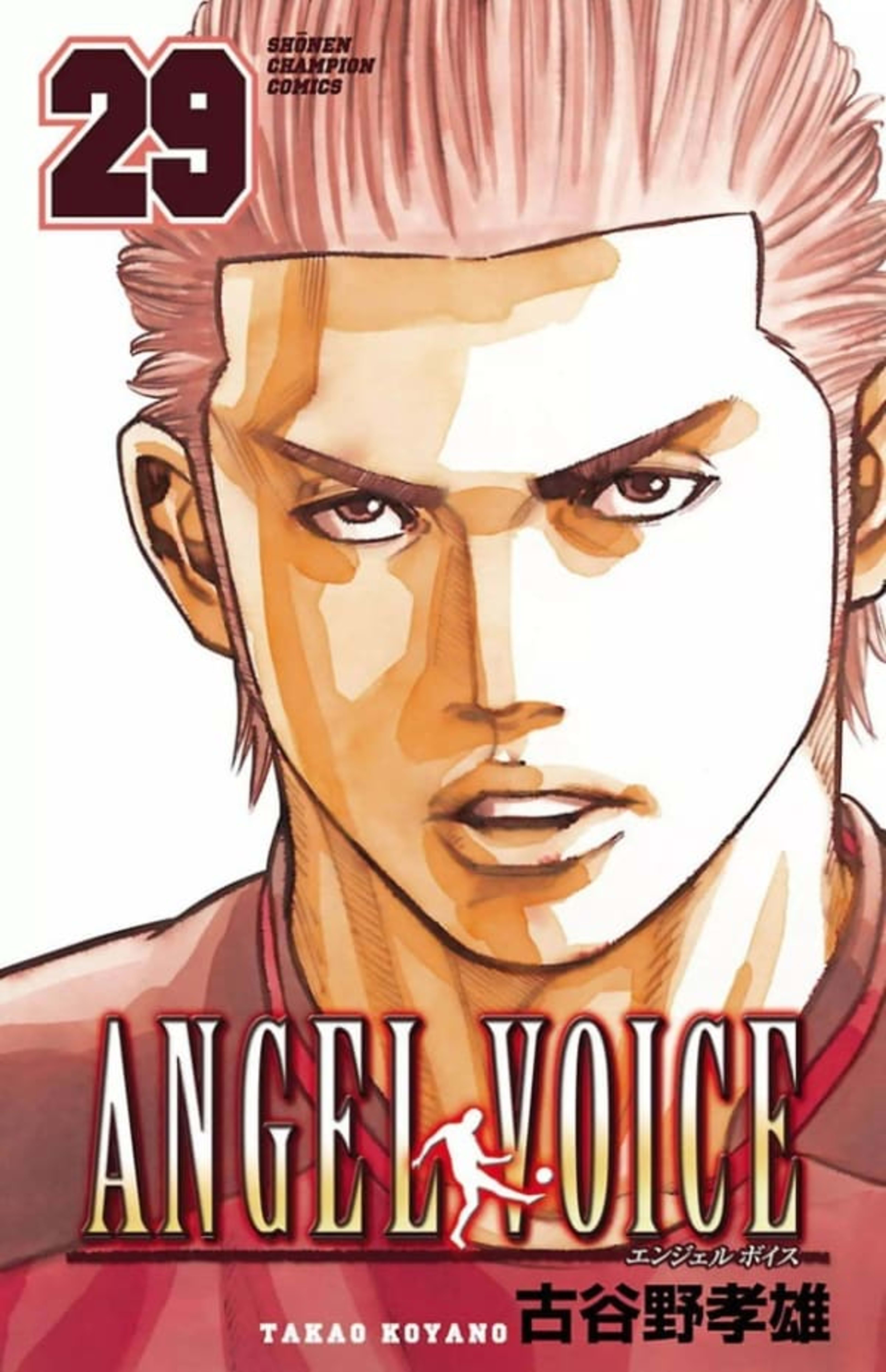 Angel Voice 29