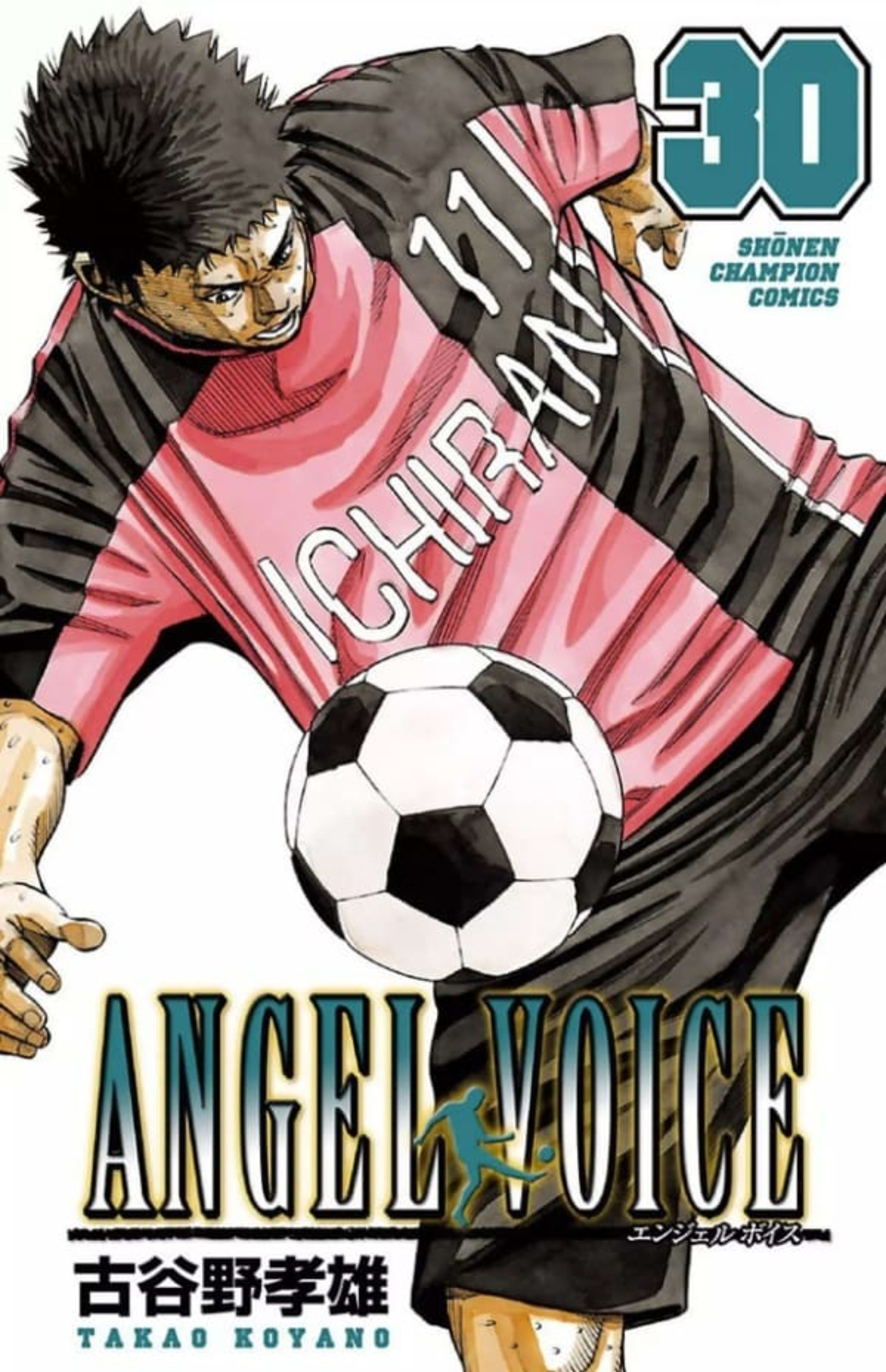 Angel Voice 30