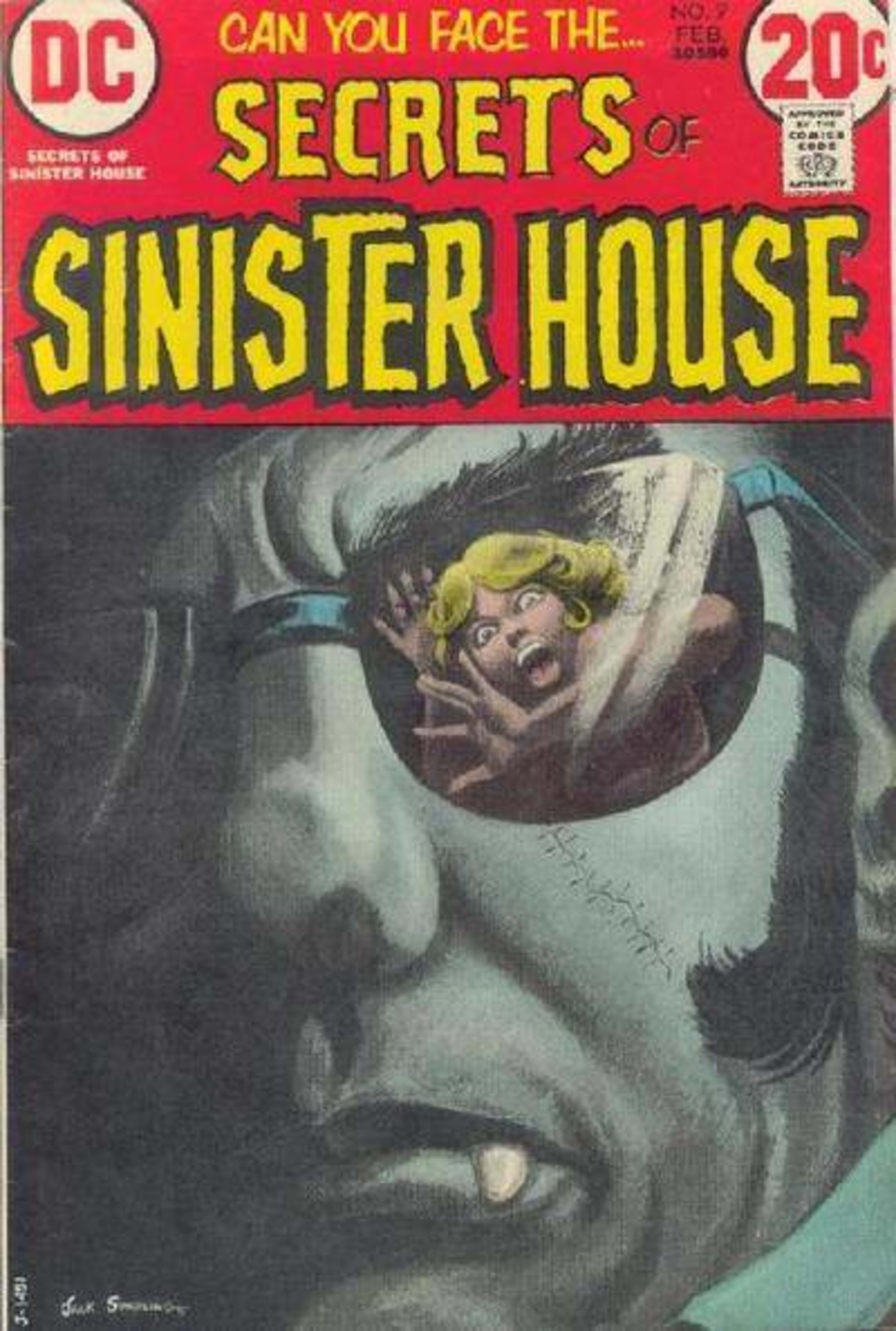Secrets of Sinister House 9