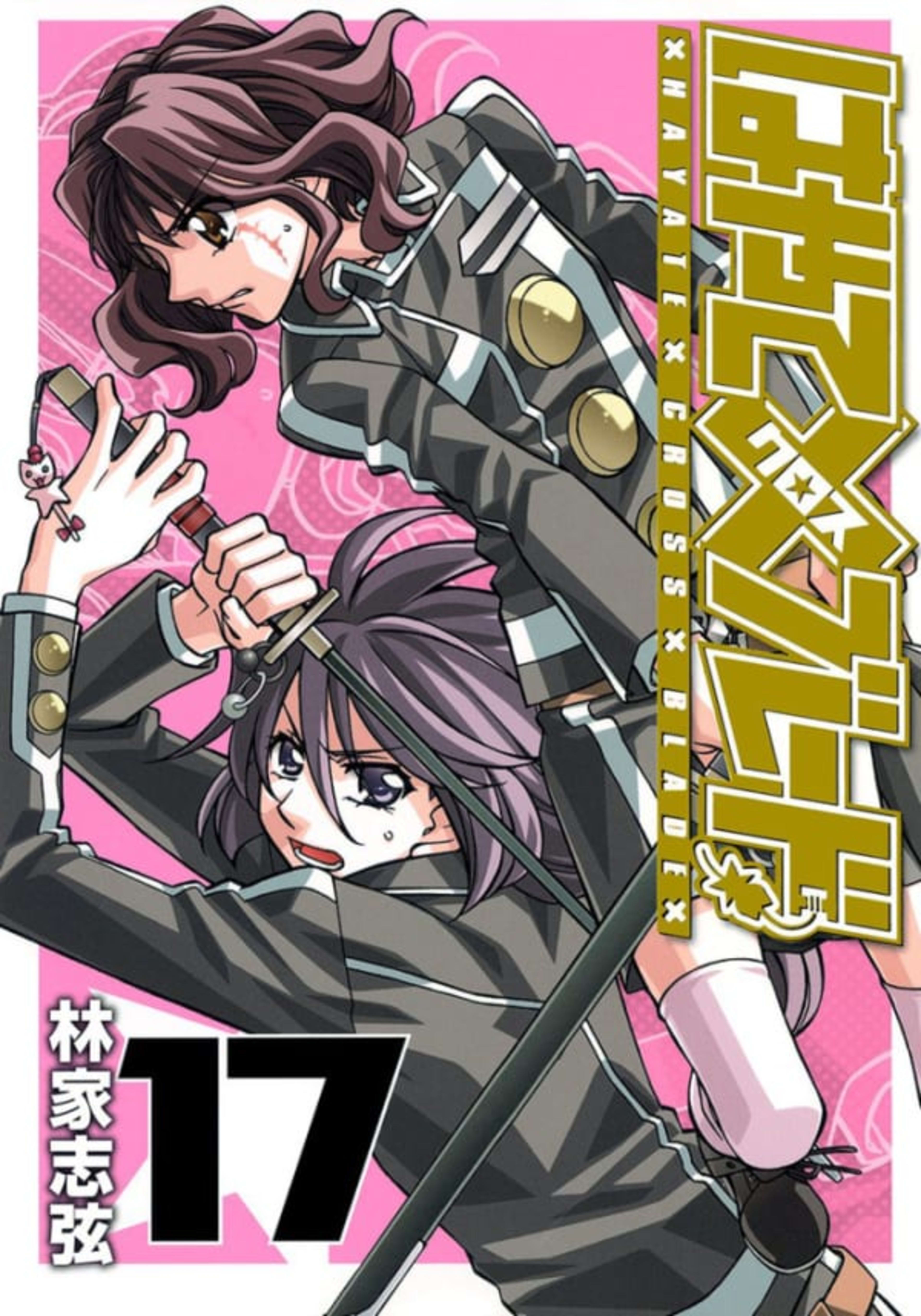 Hayate × Blade 17