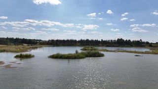 Kompleks atrakcyjnych działek budowlanych, Pawłów Górny, gmina Wola Krzysztoporska, zdjęcie 2