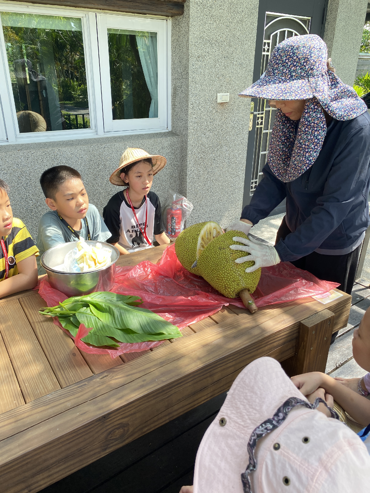 品嚐波羅蜜與採水果