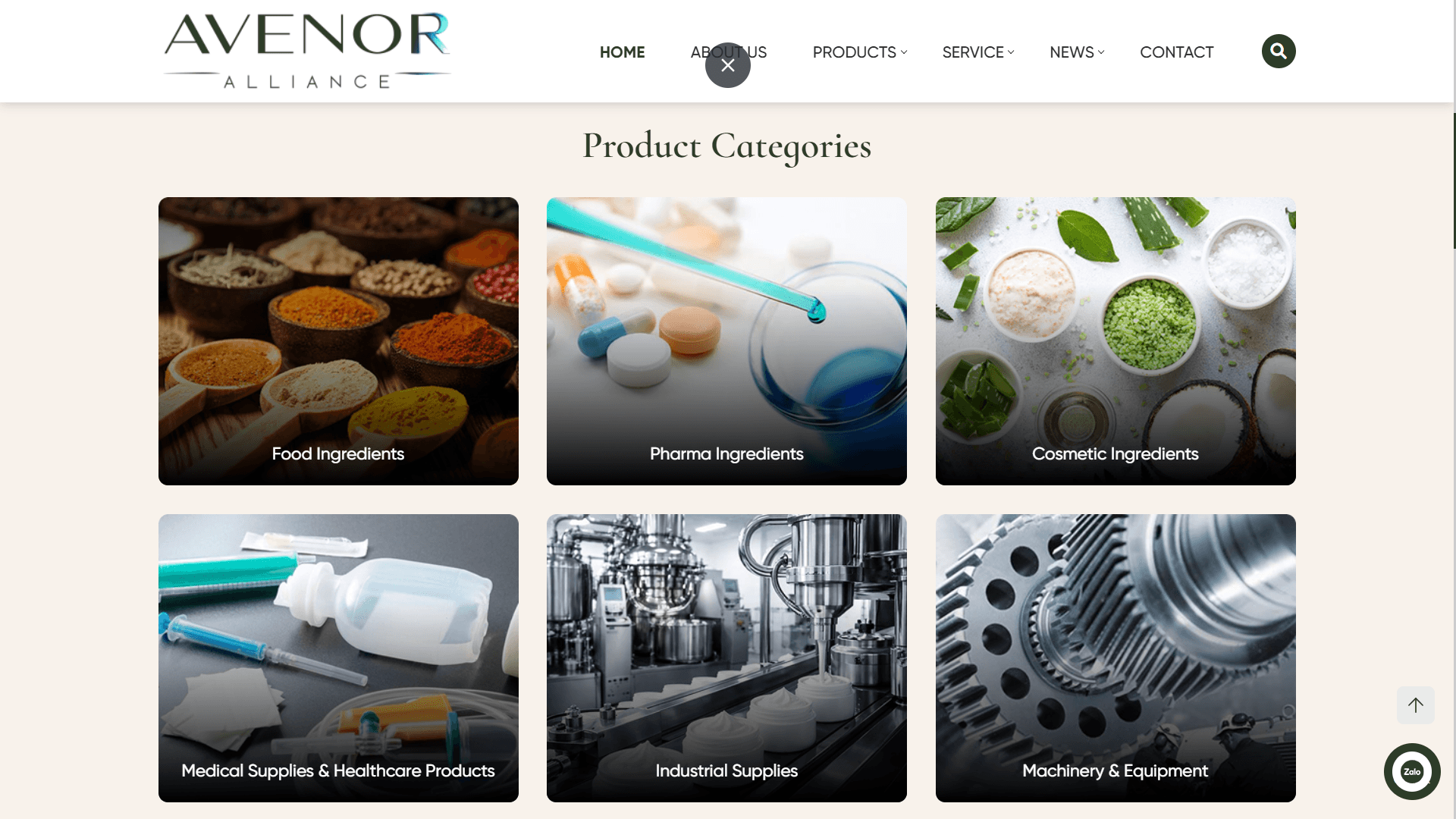 Avenor Alliance website doanh nghiệp chuyên nghiệp