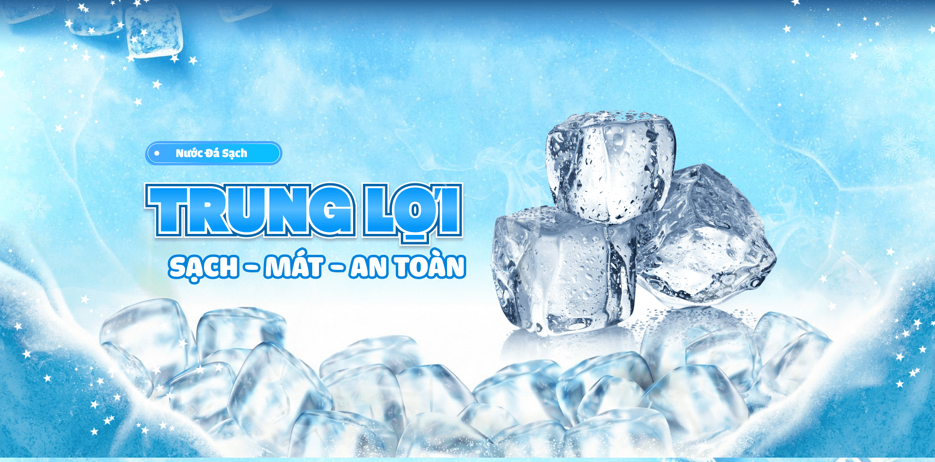 Trung Loi Ice | Website Design Project