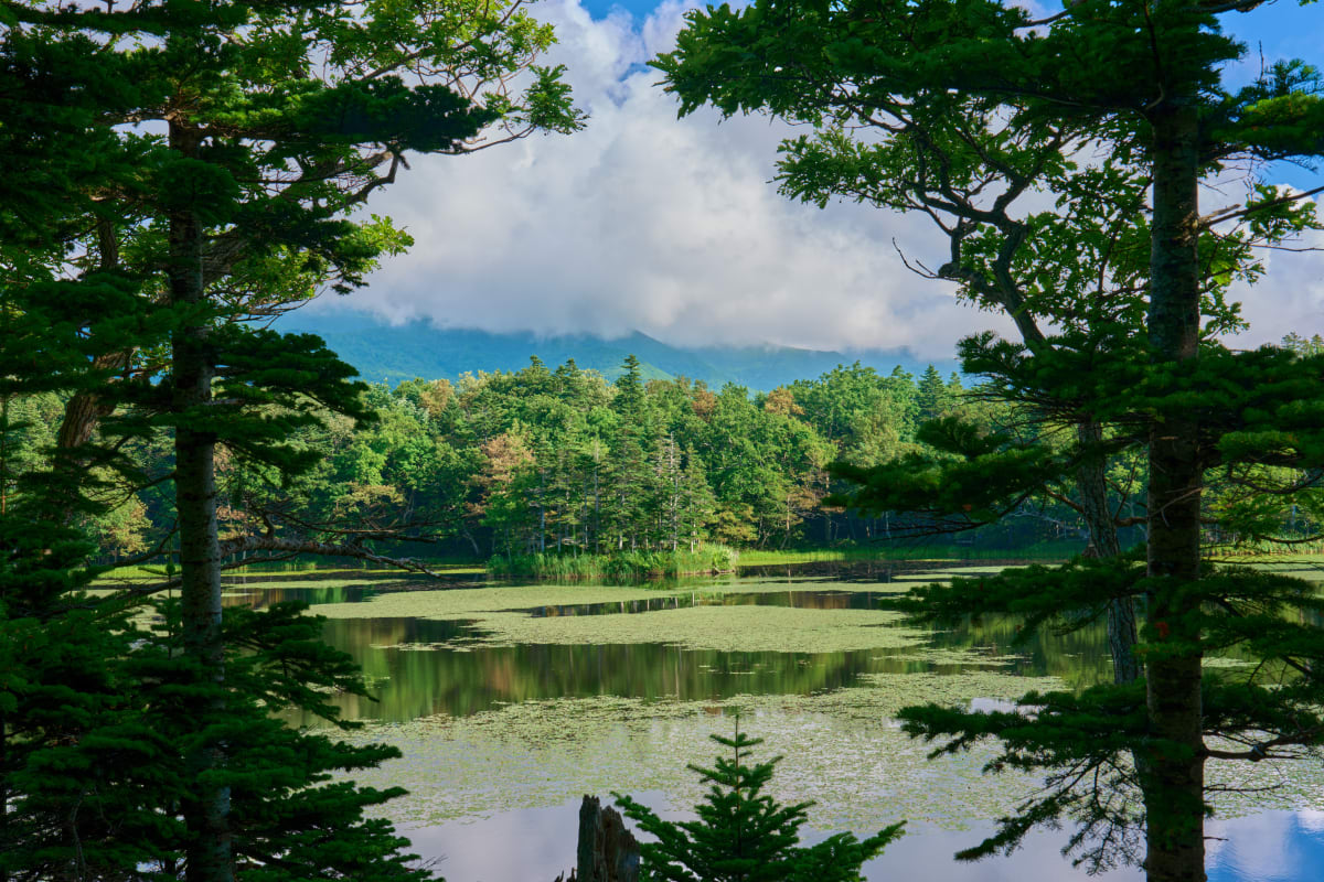 Shiretoko - Hokkaido | #Schneelandschaft