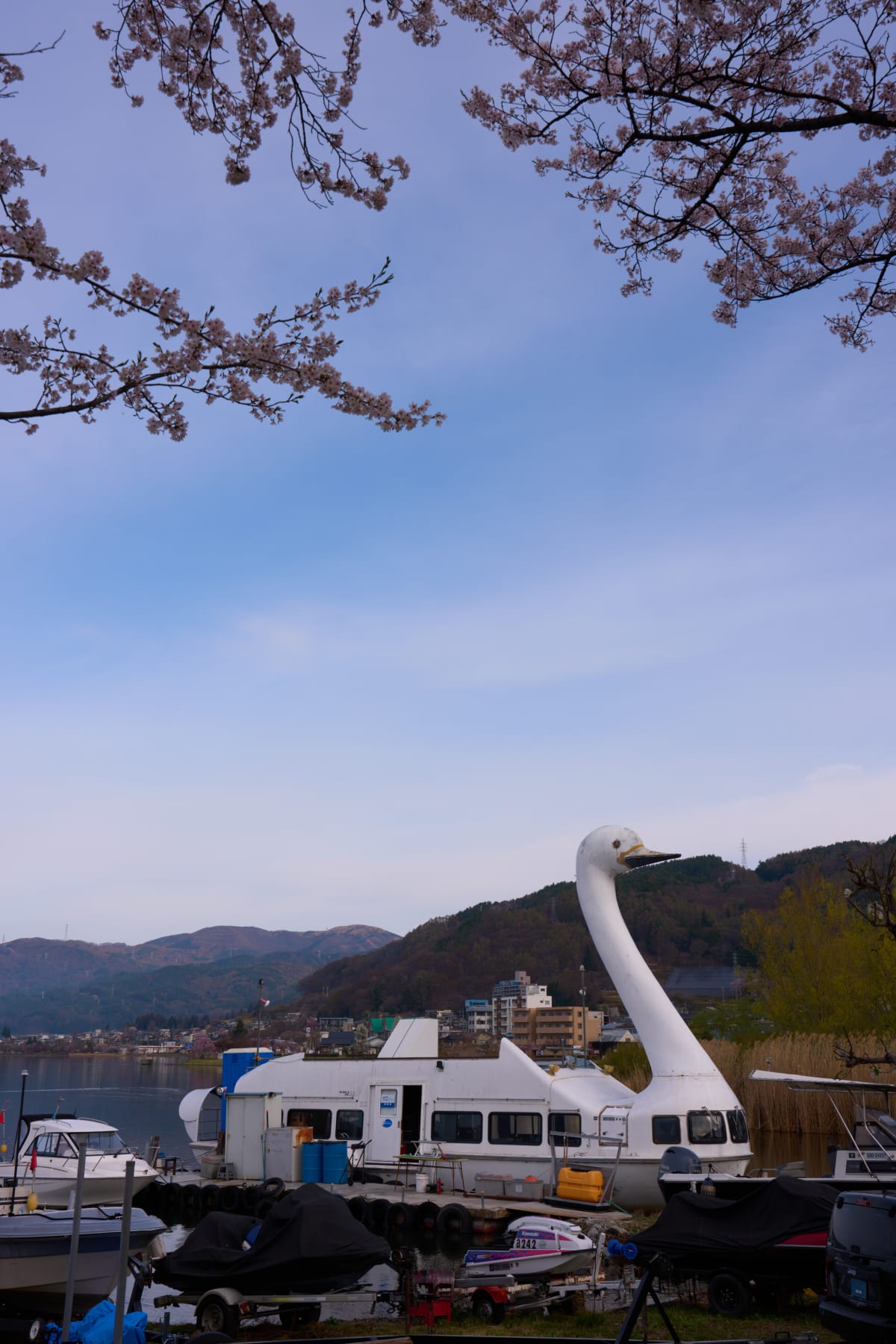 Lake Suwa - Nagano | Cherry Blossoms