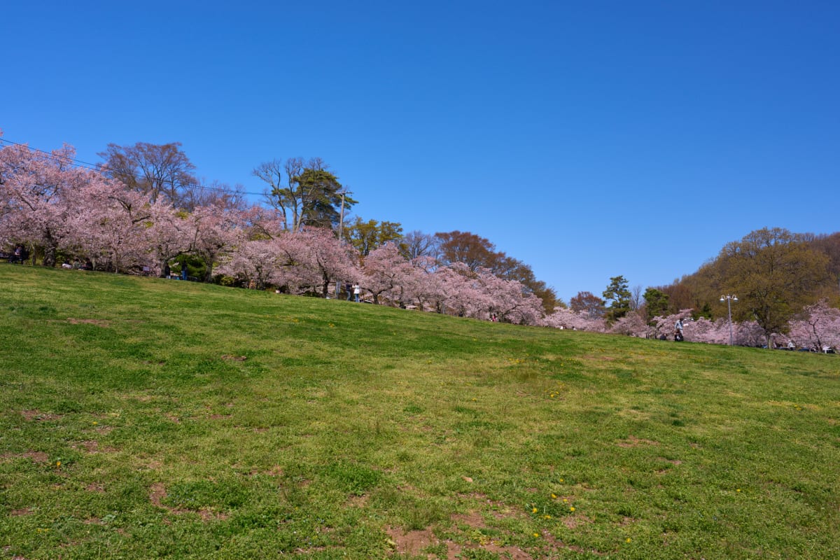 Joyama Park (Matsumoto) - Nagano | Landscapes of Japan