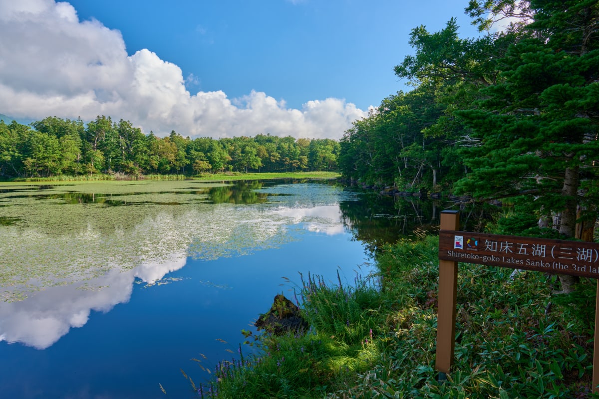 Shiretoko - Hokkaido | Seen
