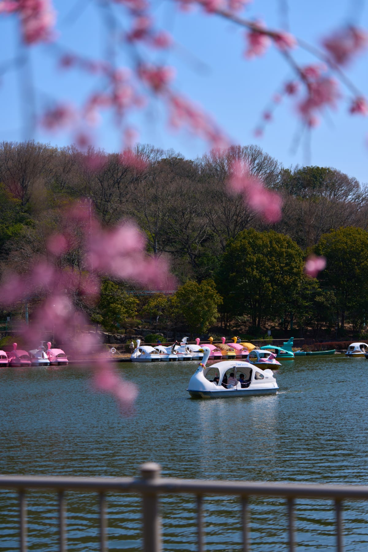 Higashiyama Djurpark - Aichi | Landscapes of Japan