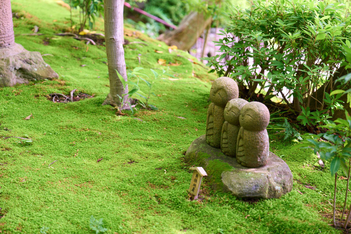كاماكورا - كاناغاوا | Landscapes of Japan