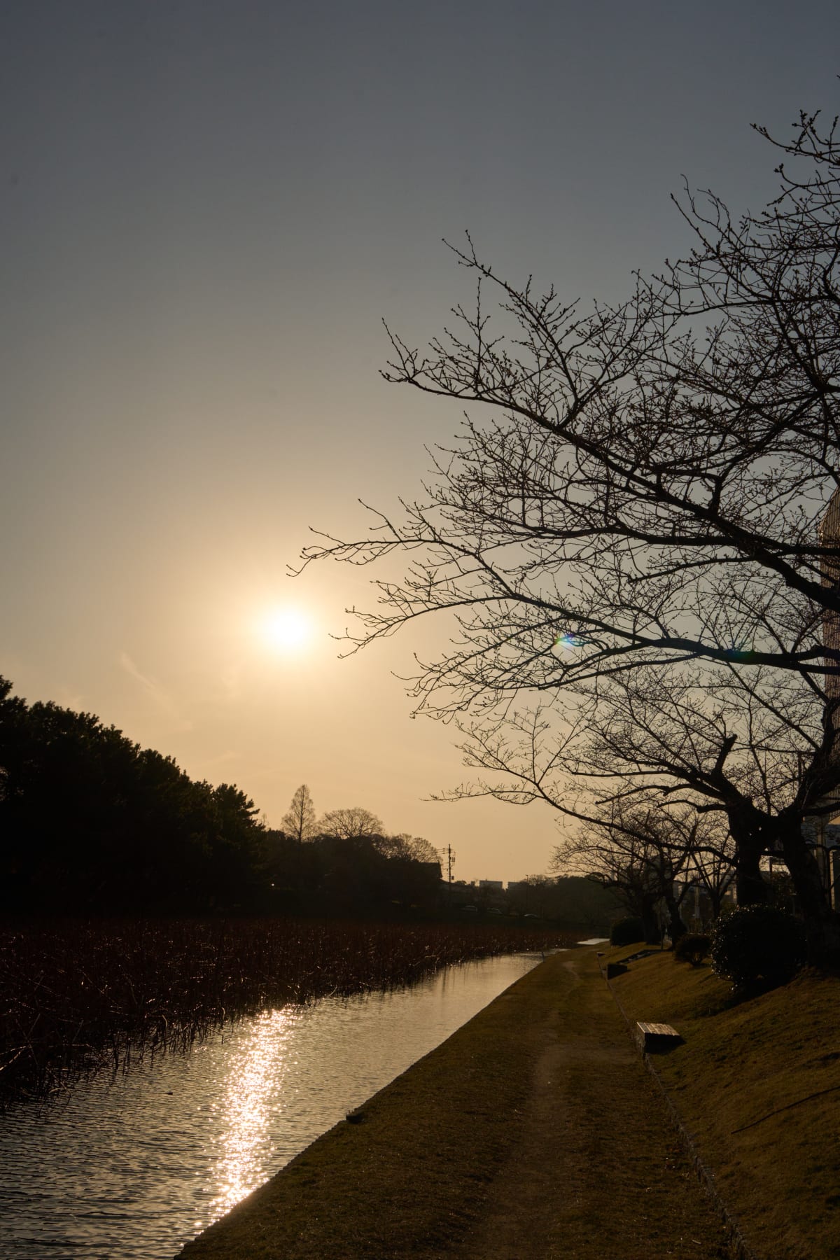 Fukuoka - Fukuoka | Landscapes of Japan