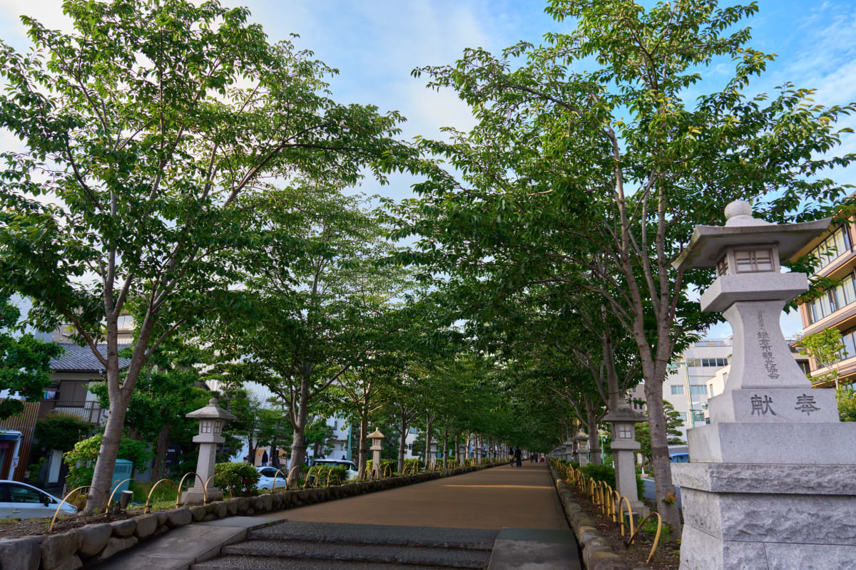 Kamakura - Kanagawa | #Old Town