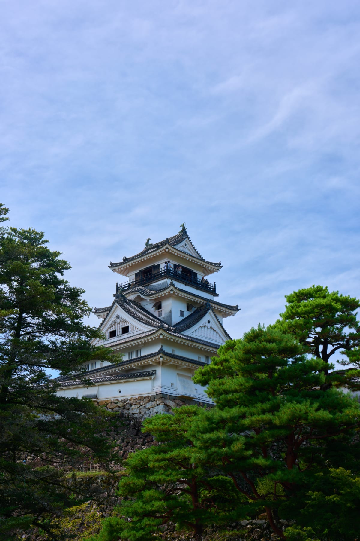 ปราสาทโคจิ - โคจิ | Landscapes of Japan