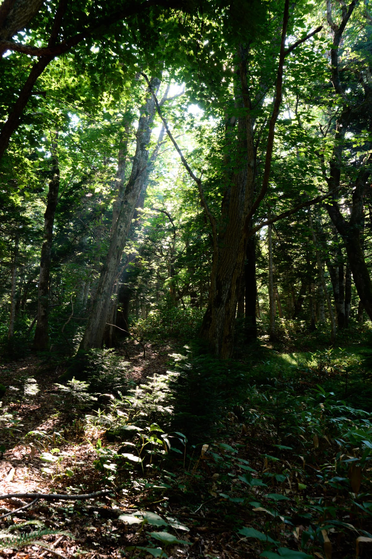 ชิเระโตโกะ - ฮอกไกโด | Landscapes of Japan